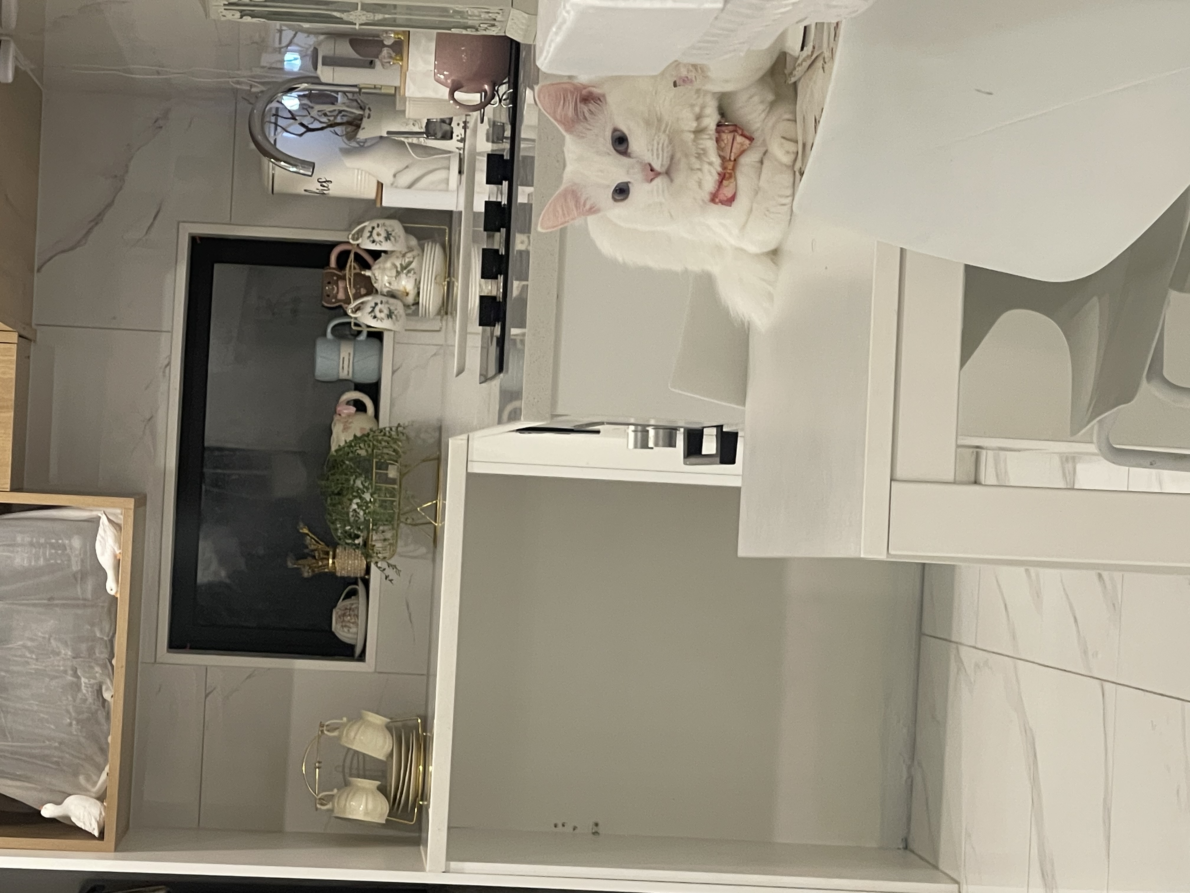 image-18