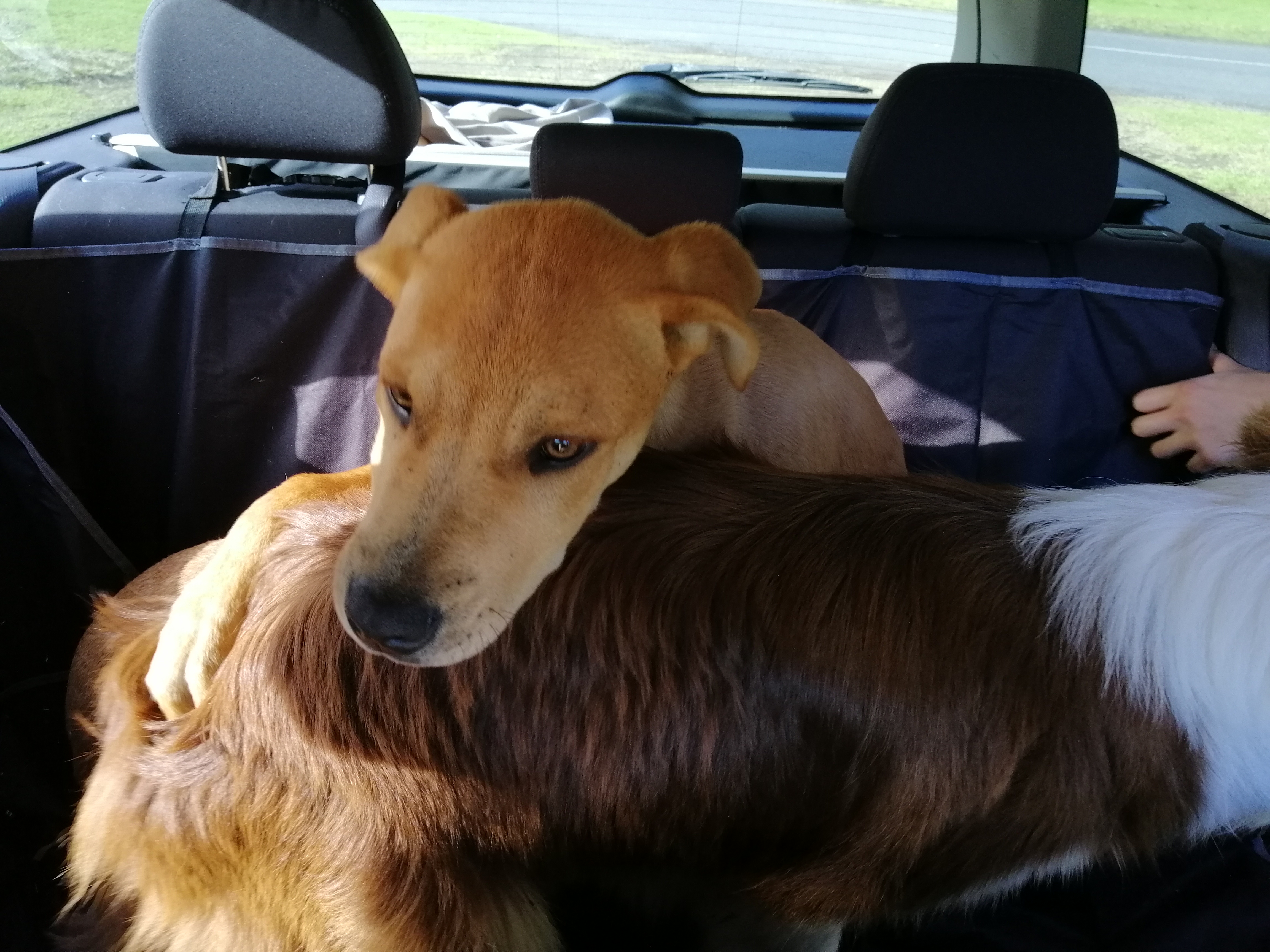image-9