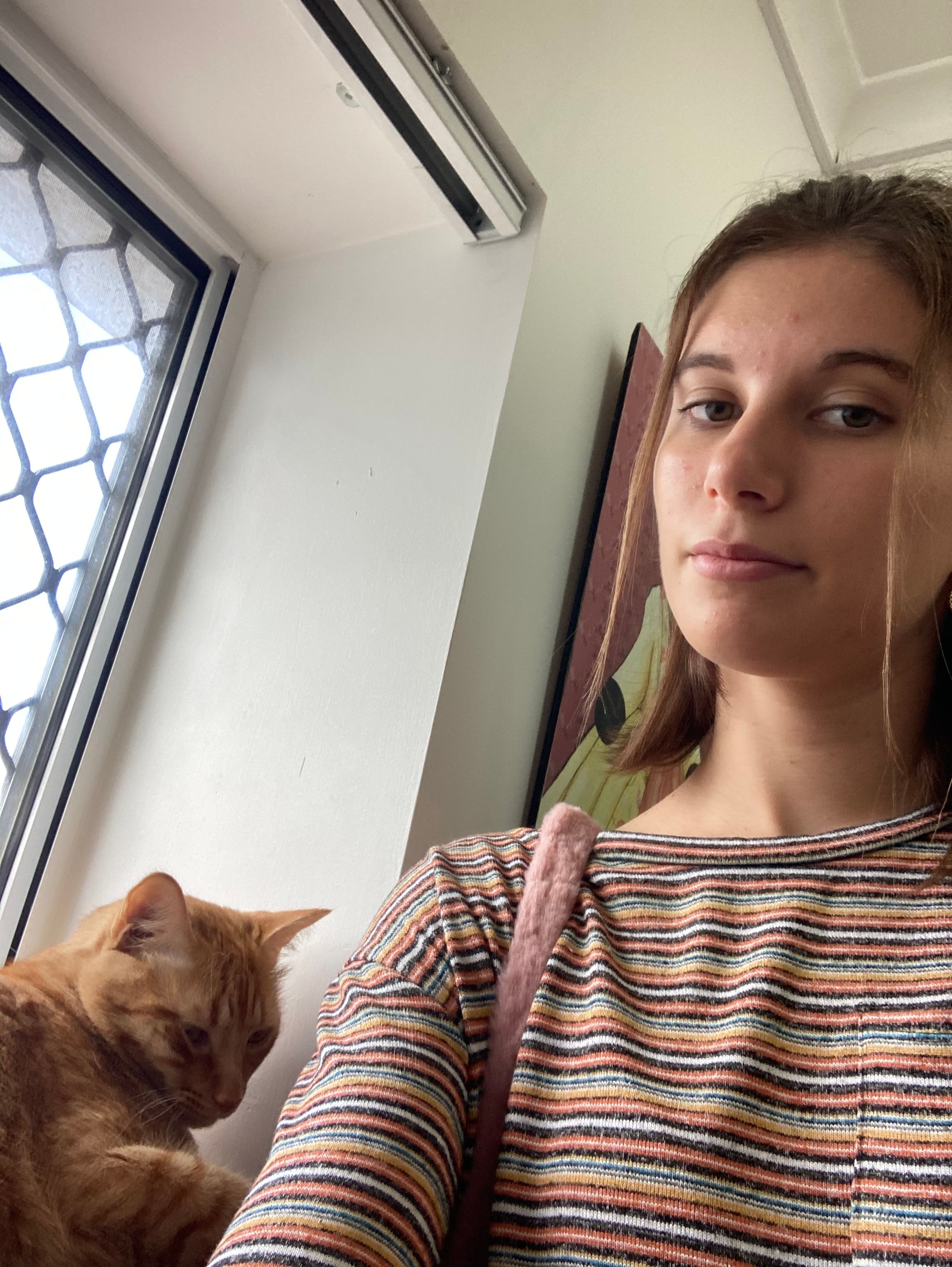 image-10