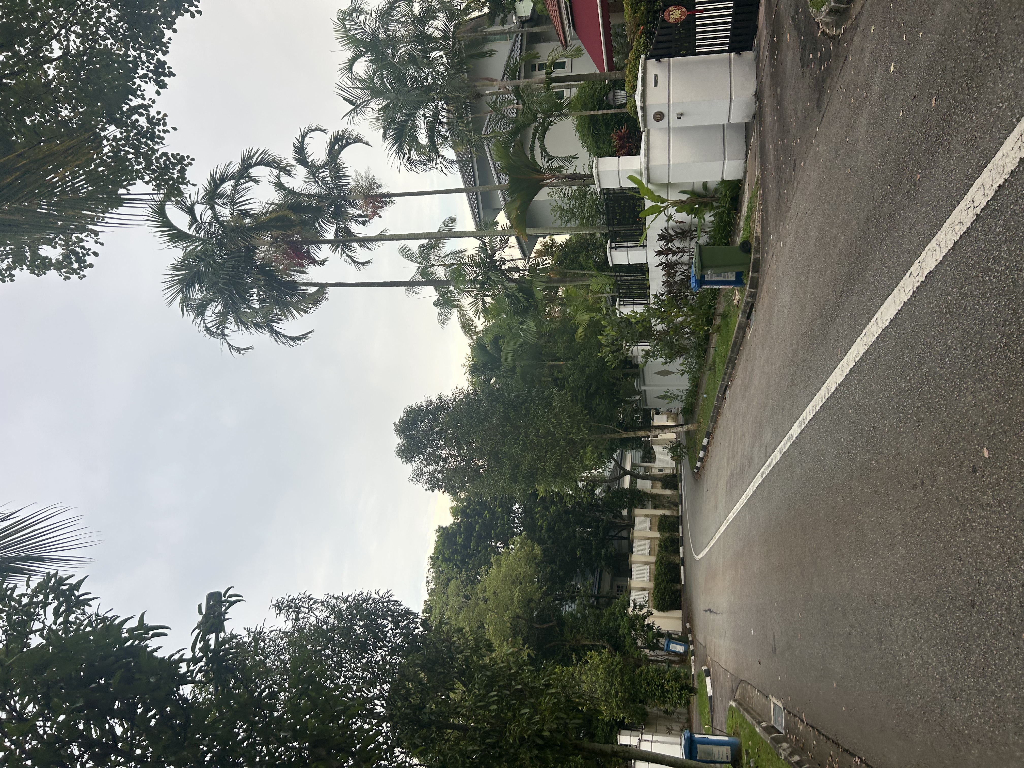 image-17