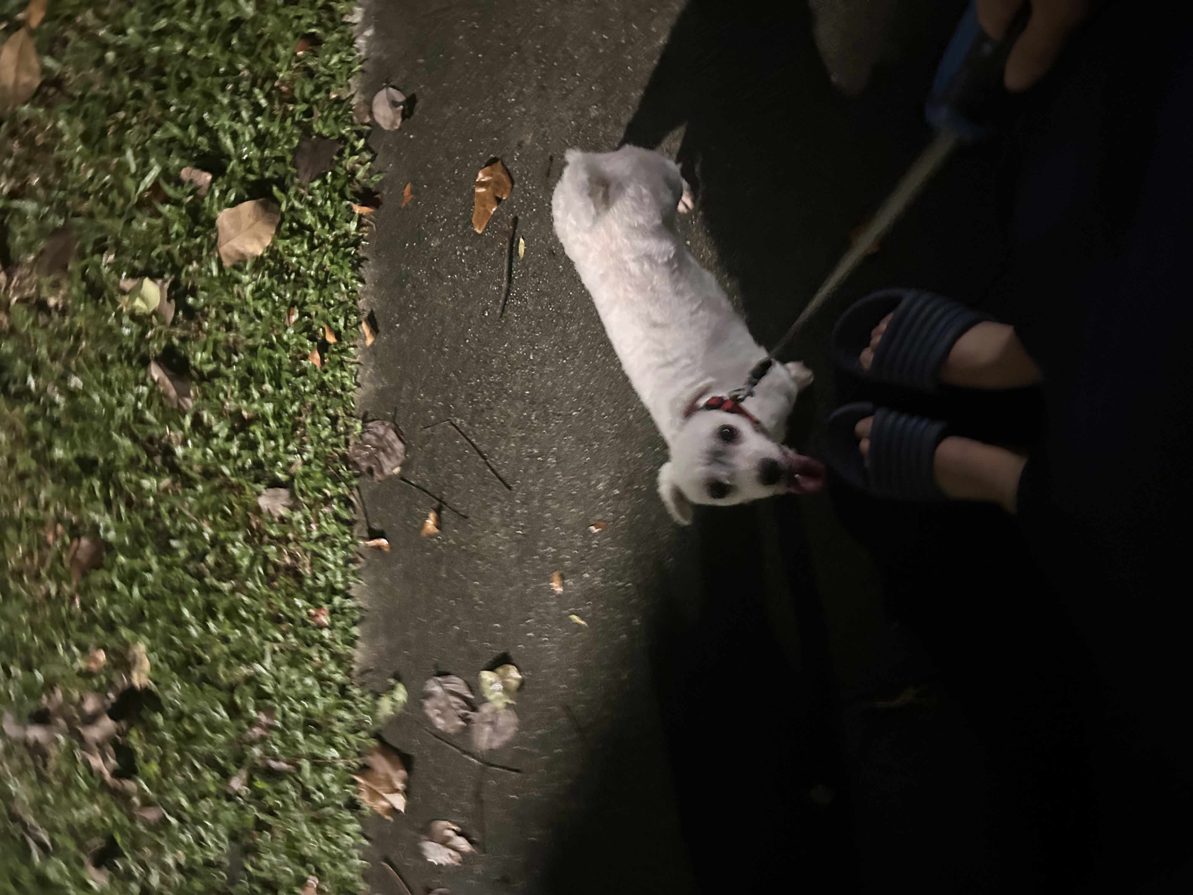 image-15