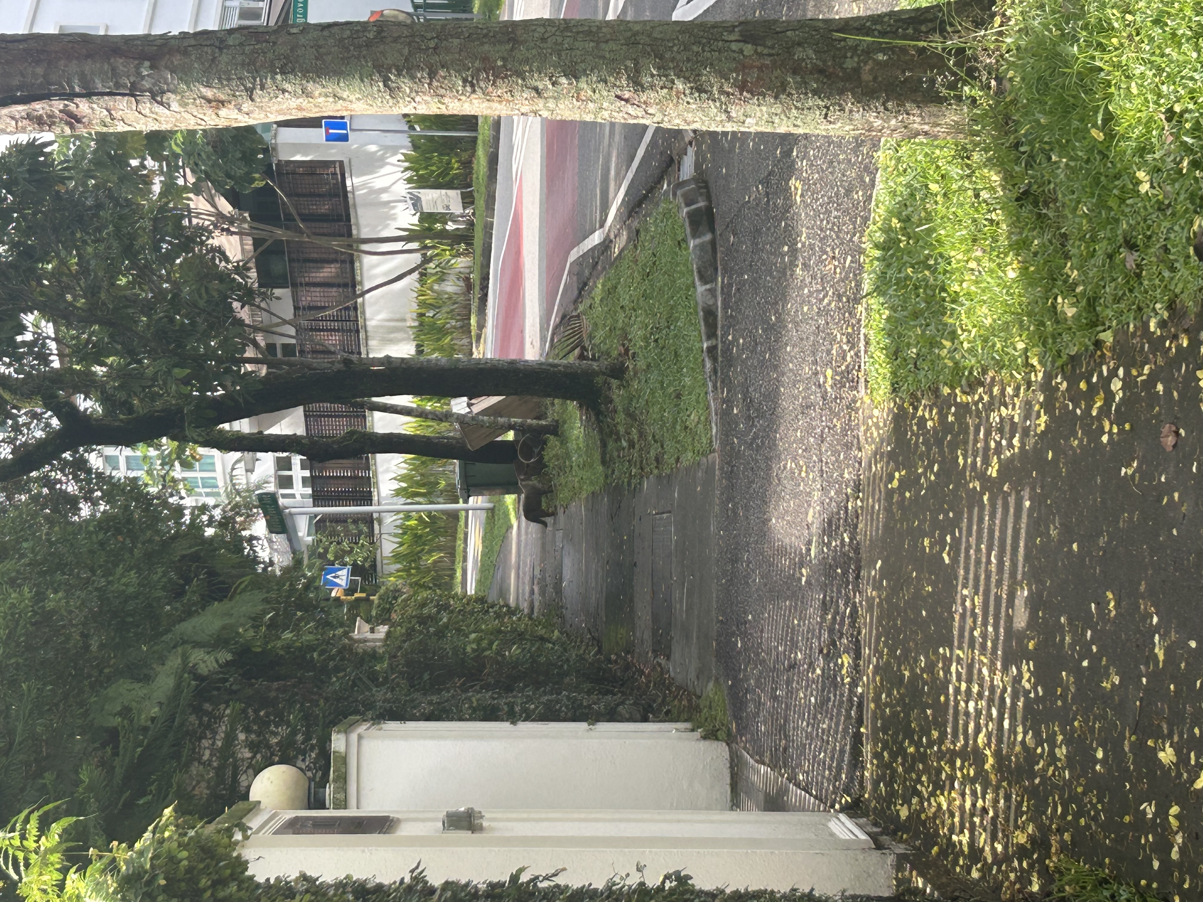 image-18