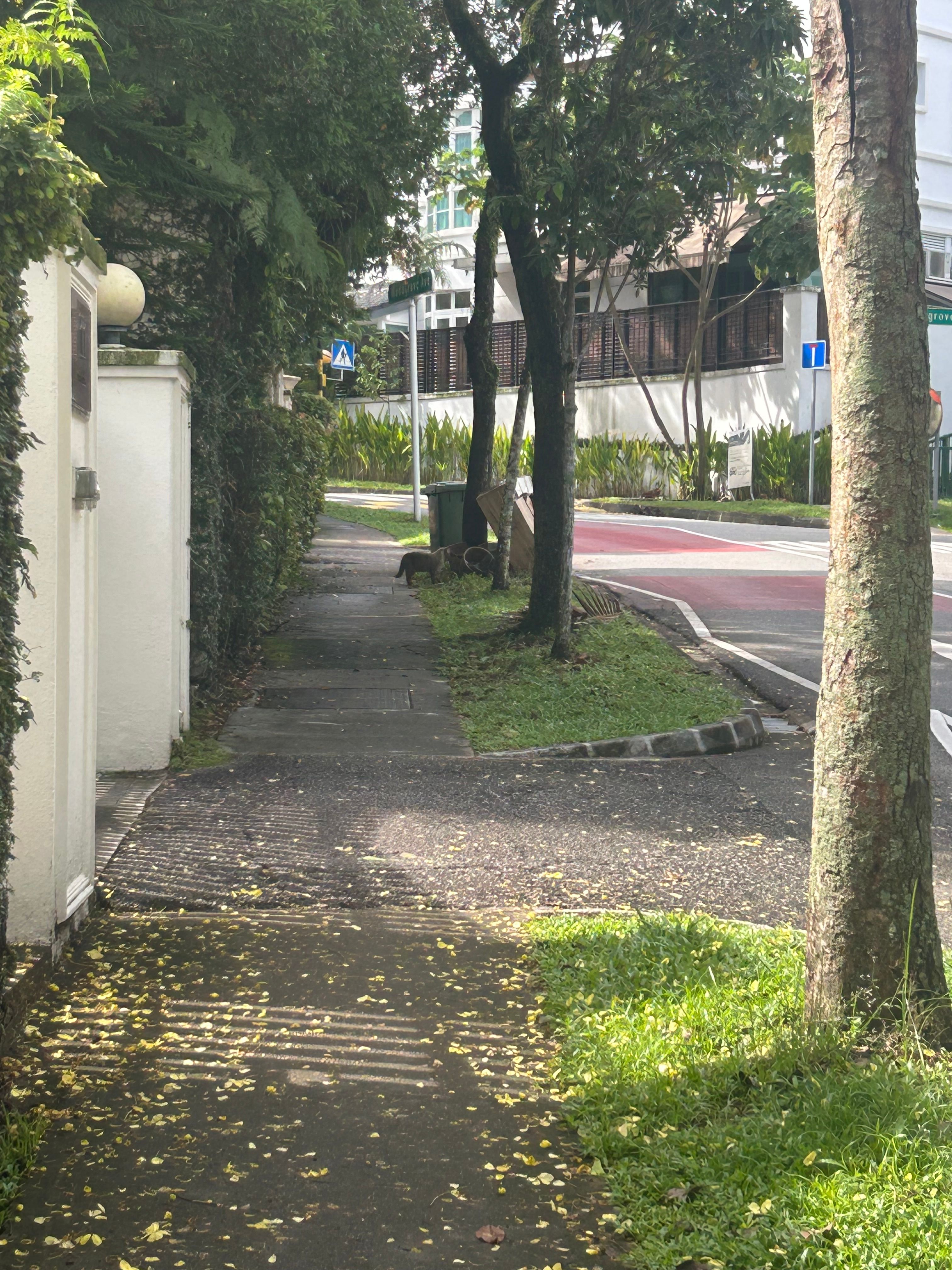 image-18