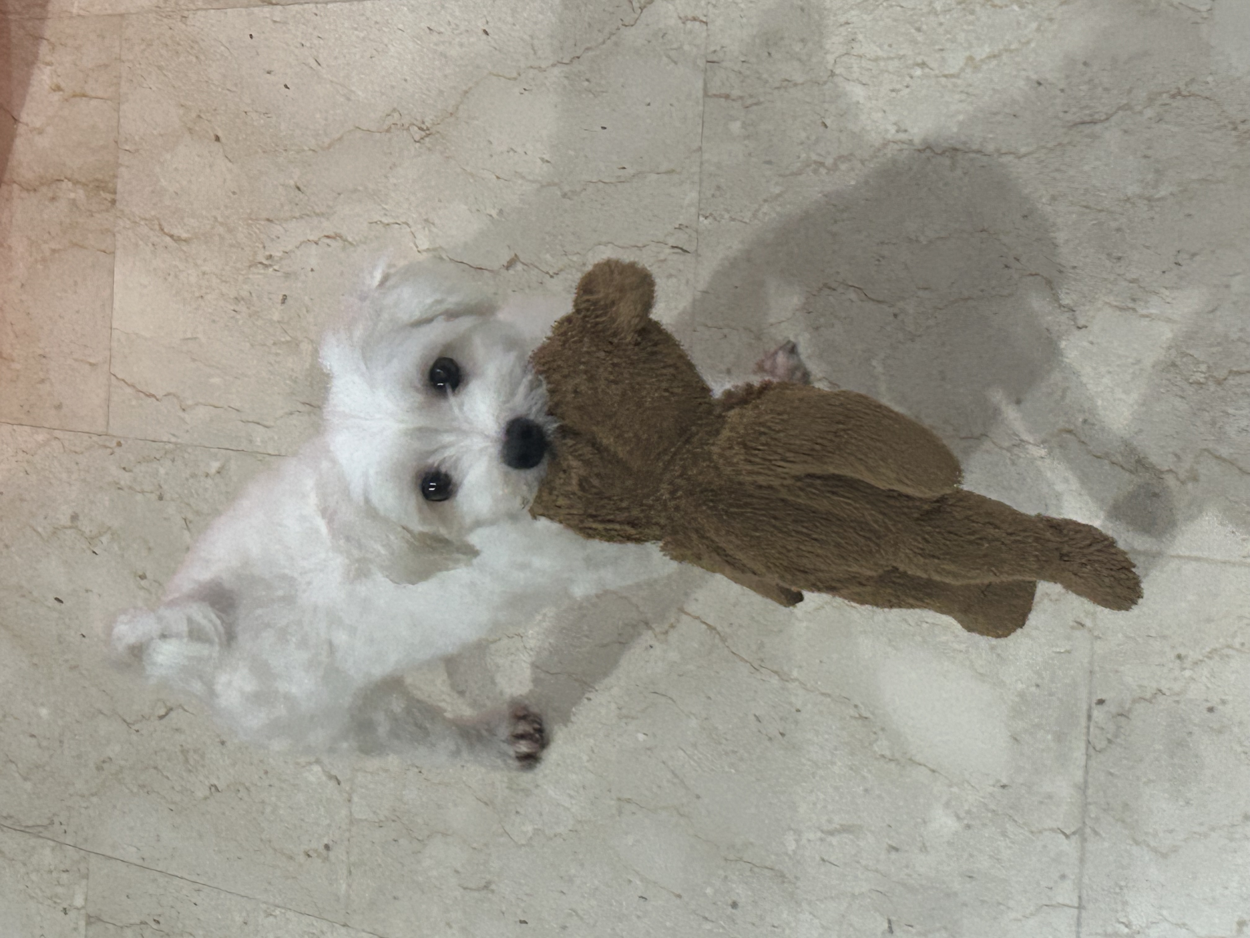 image-5
