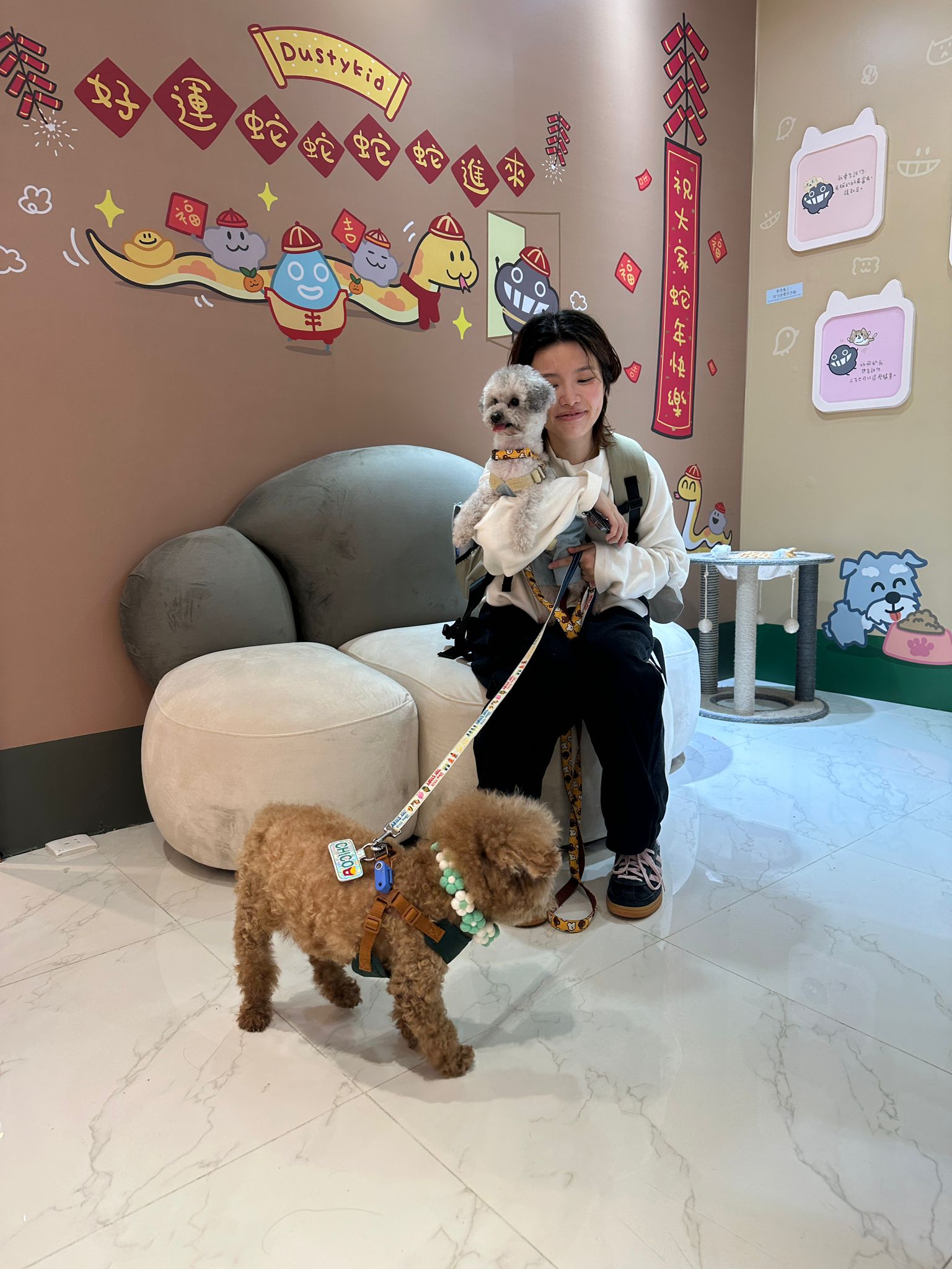 image-16