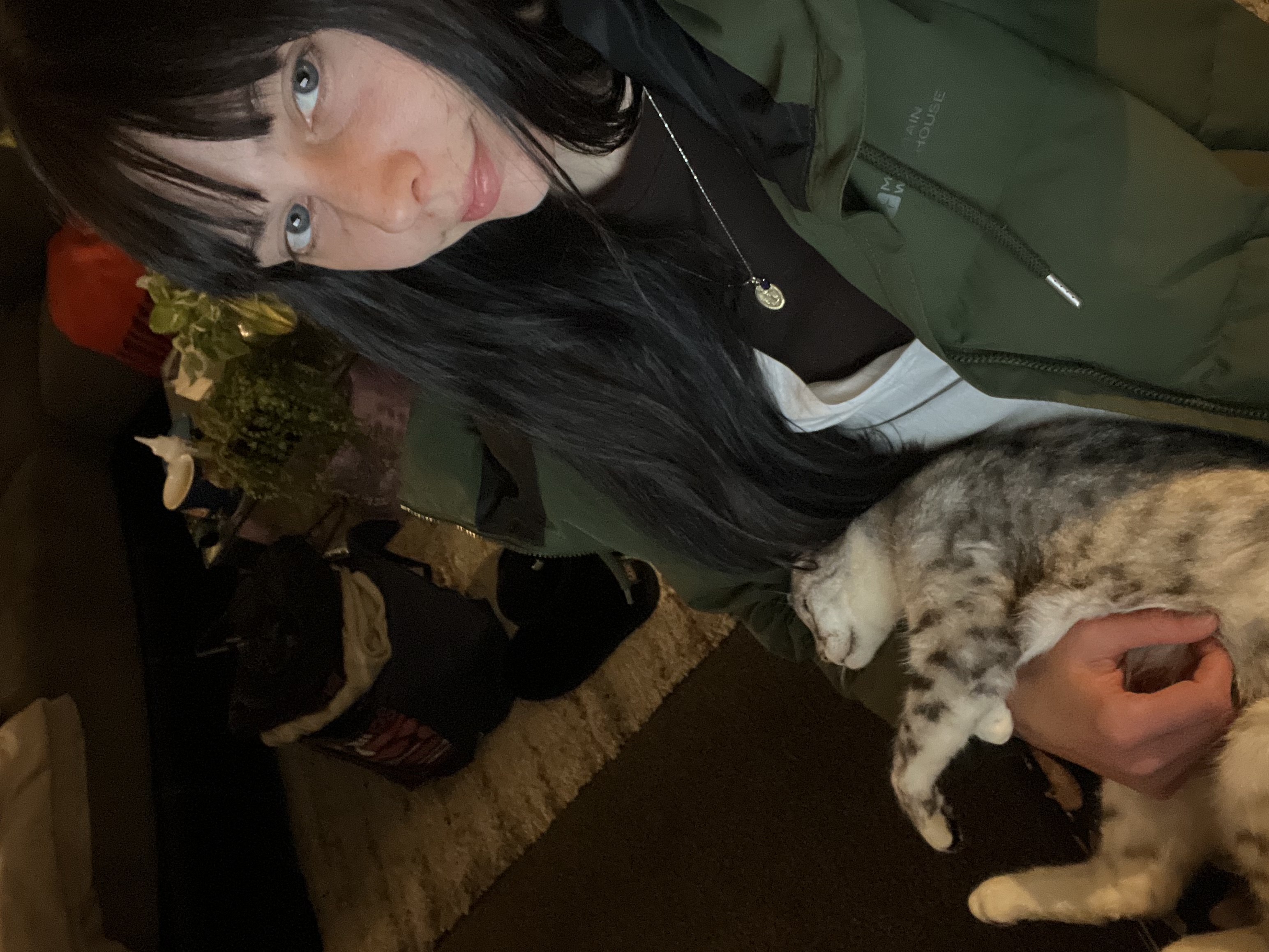 image-8