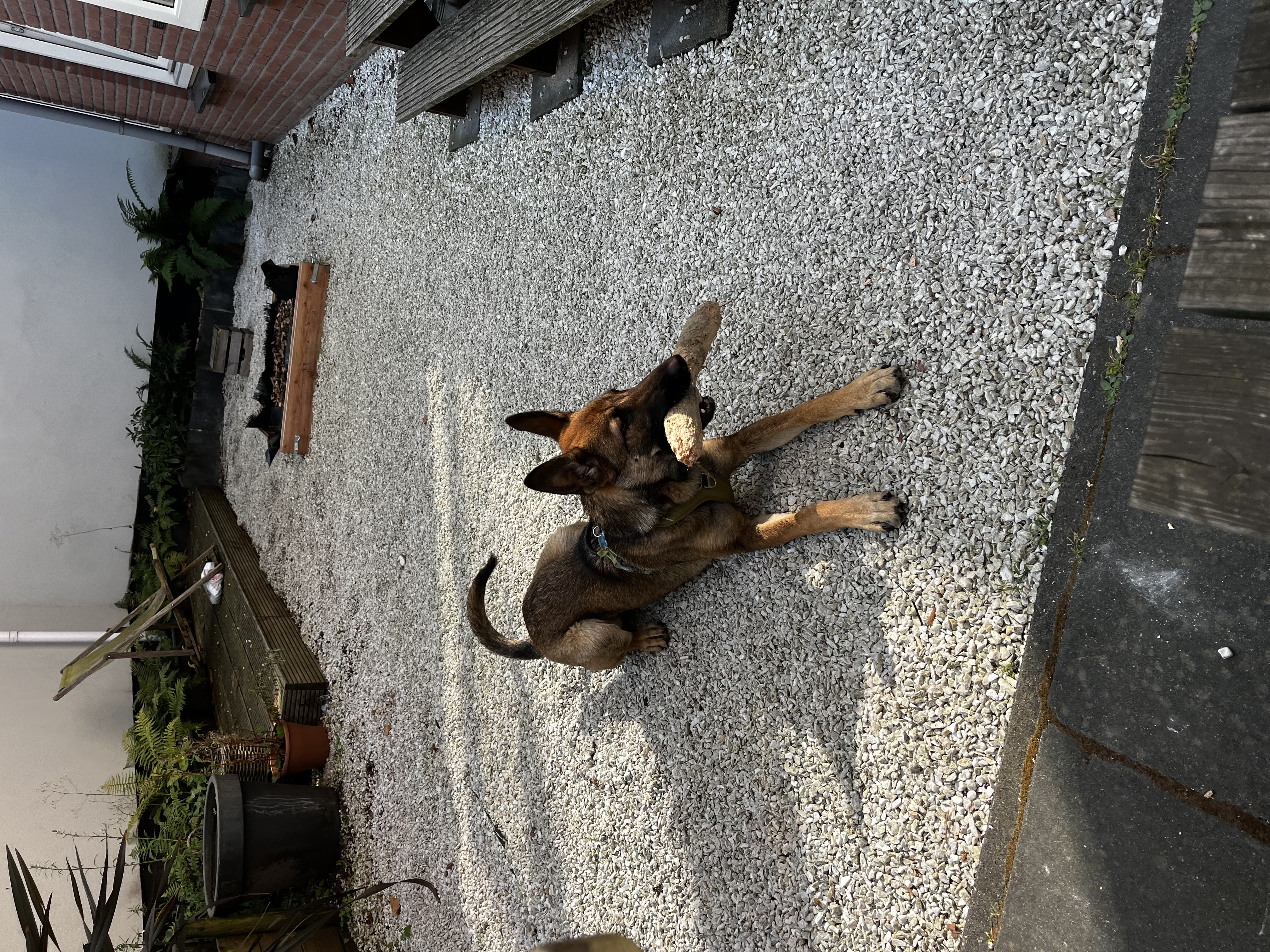 image-5