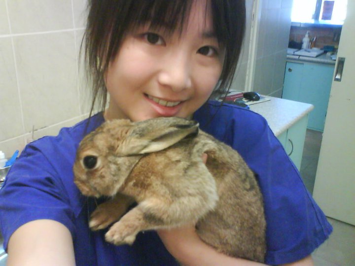 image-7