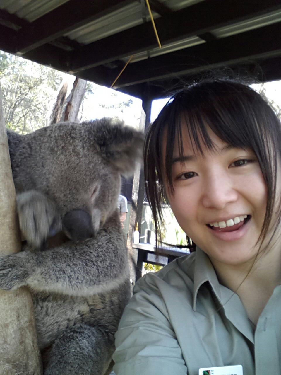 image-5