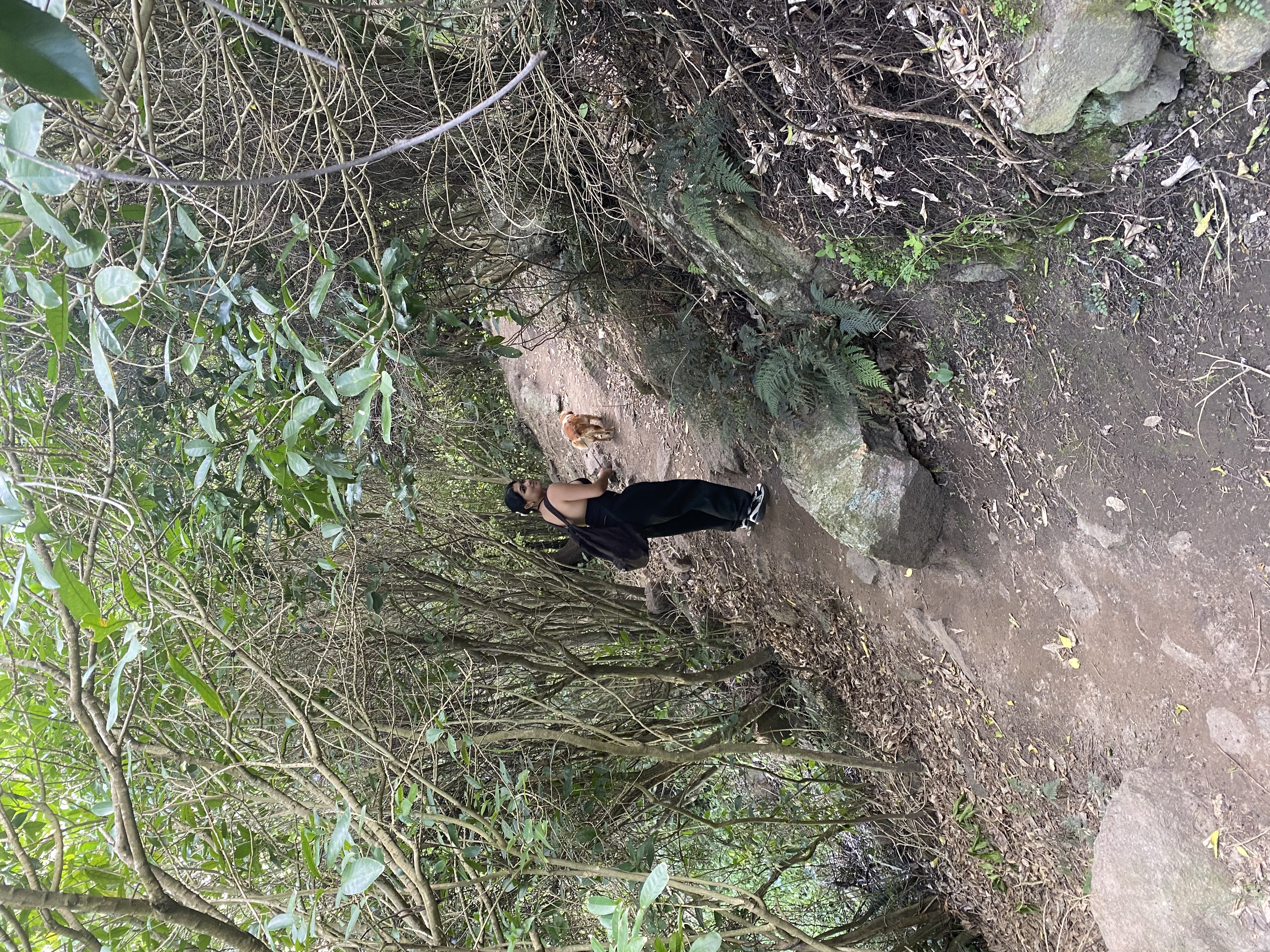 image-7