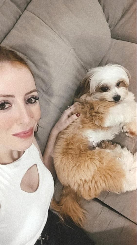 image-2