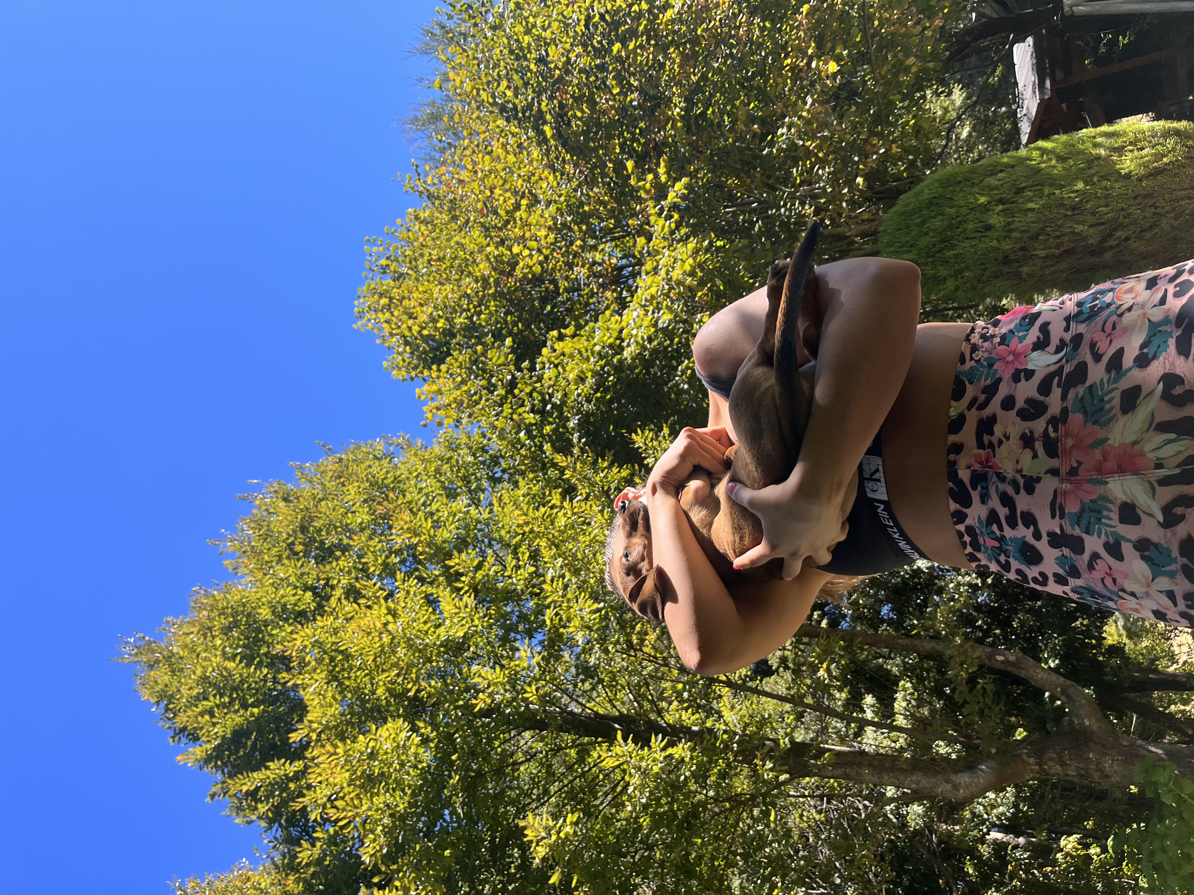 image-8
