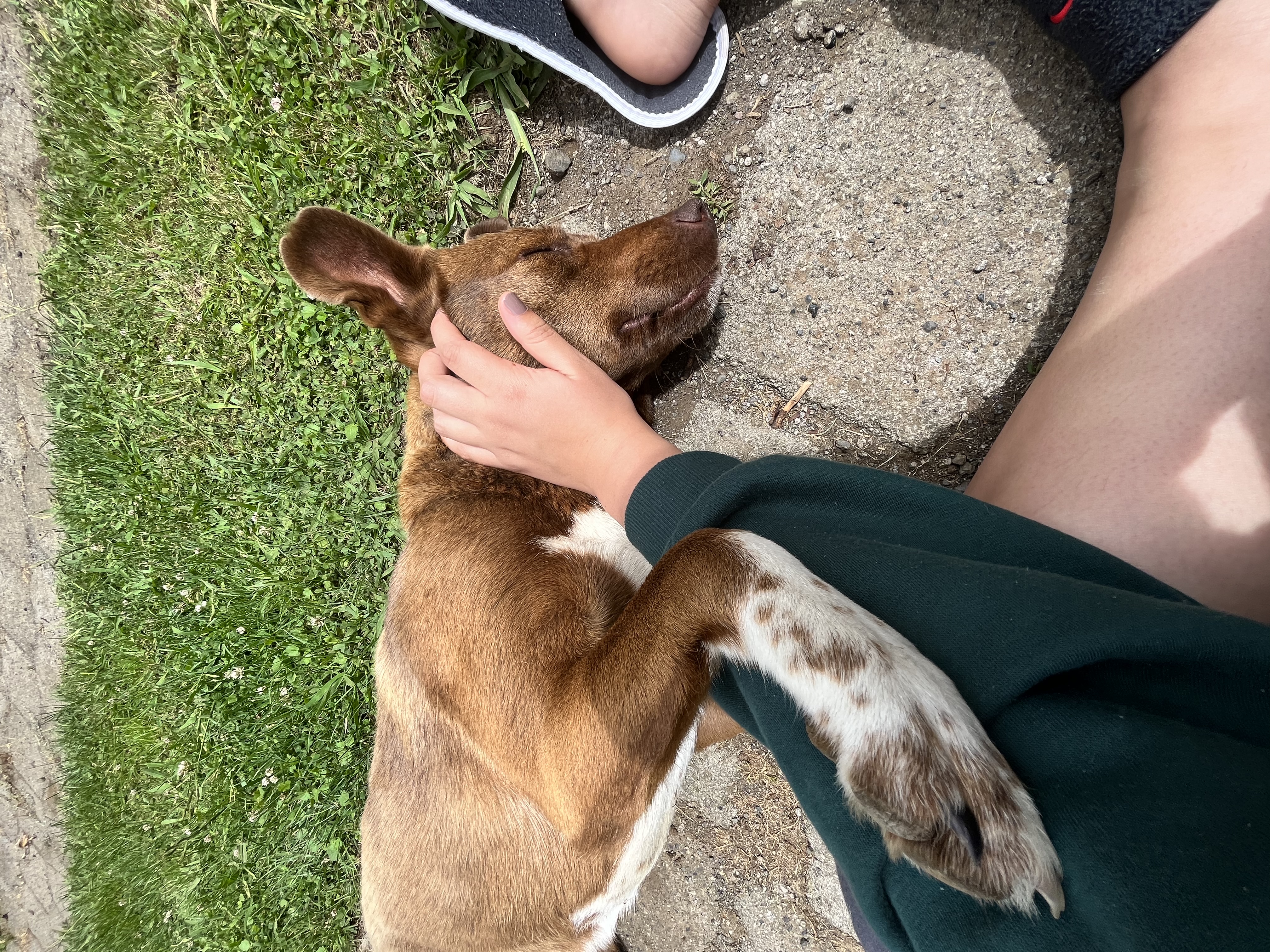 image-6