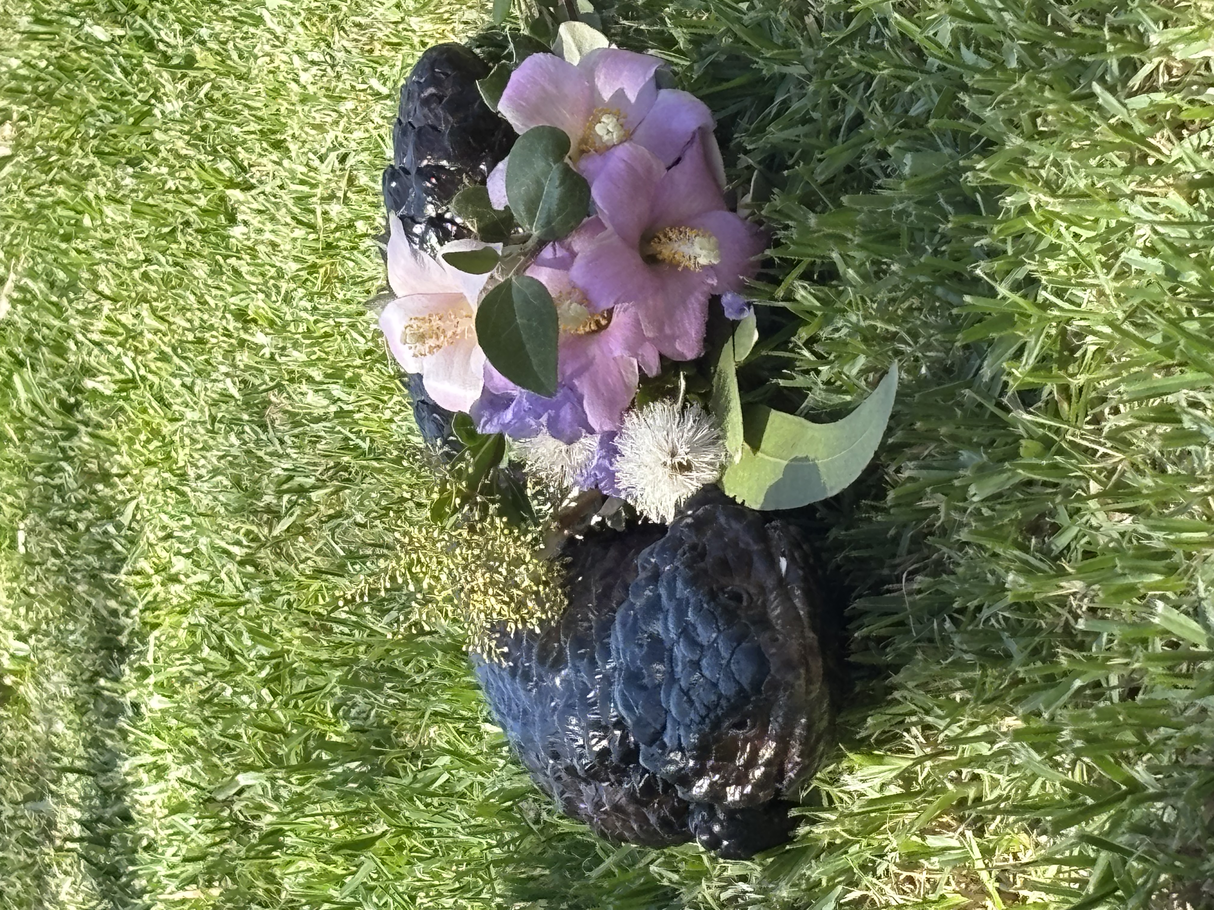 image-14