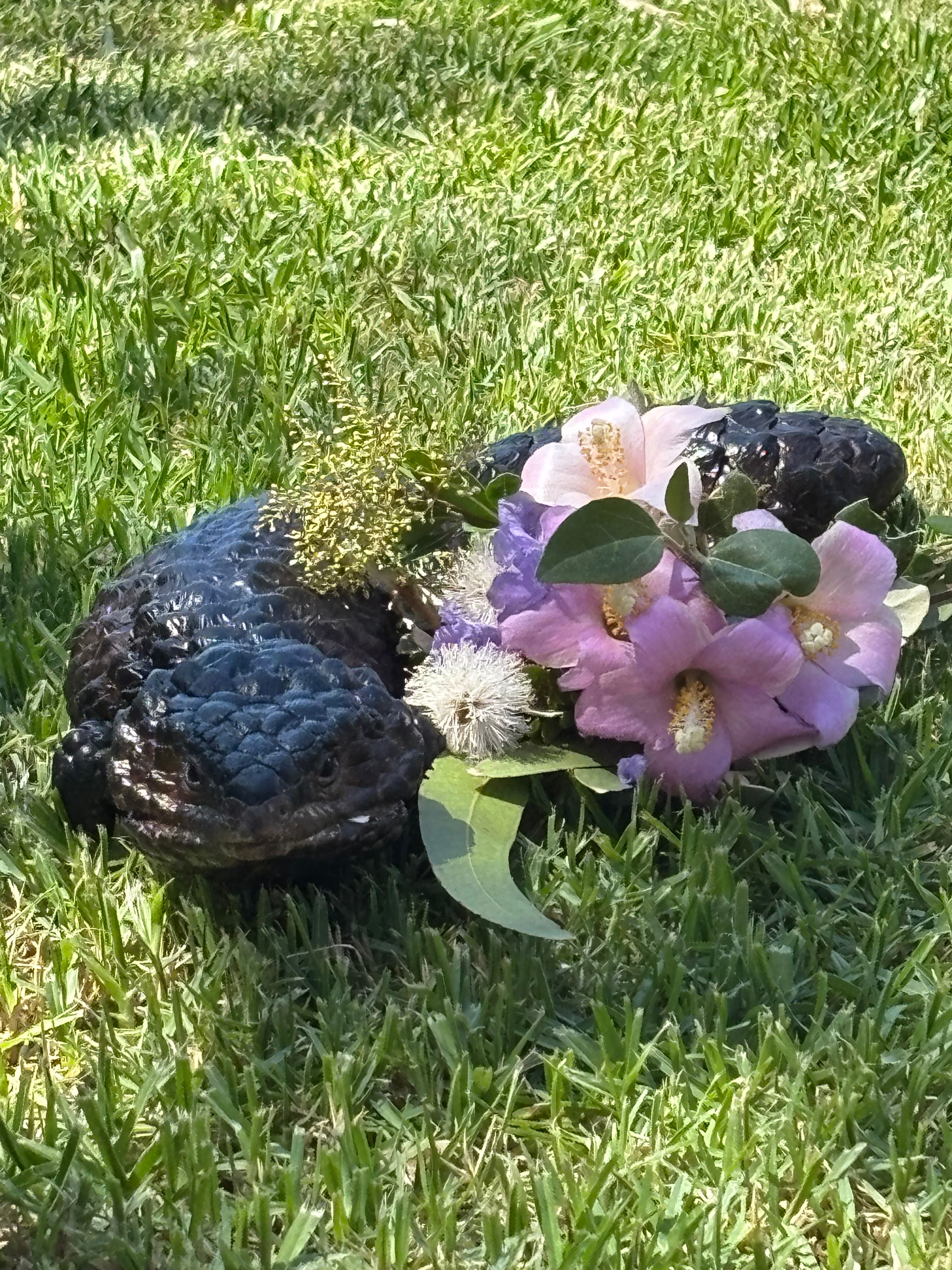 image-14