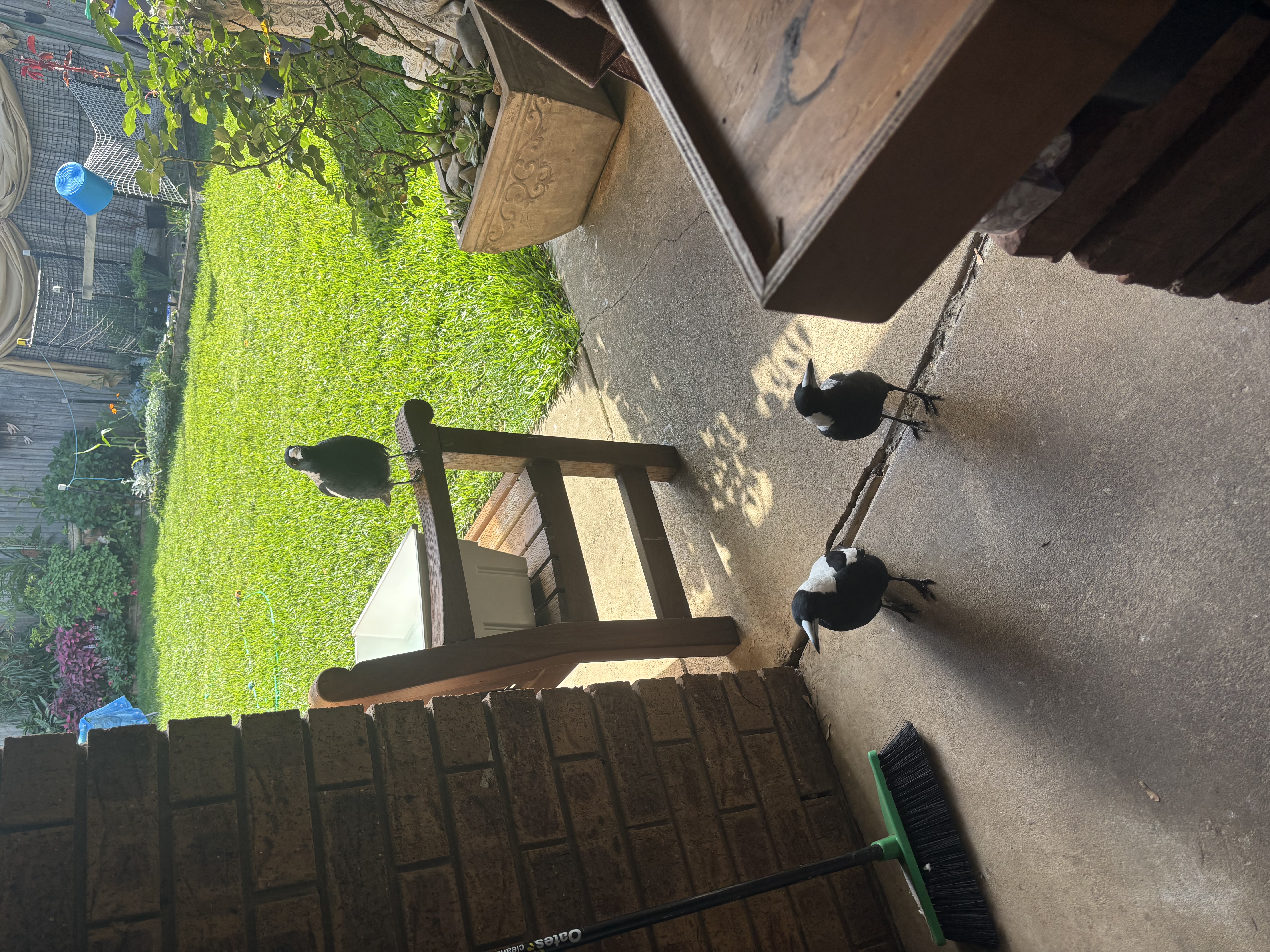 image-18
