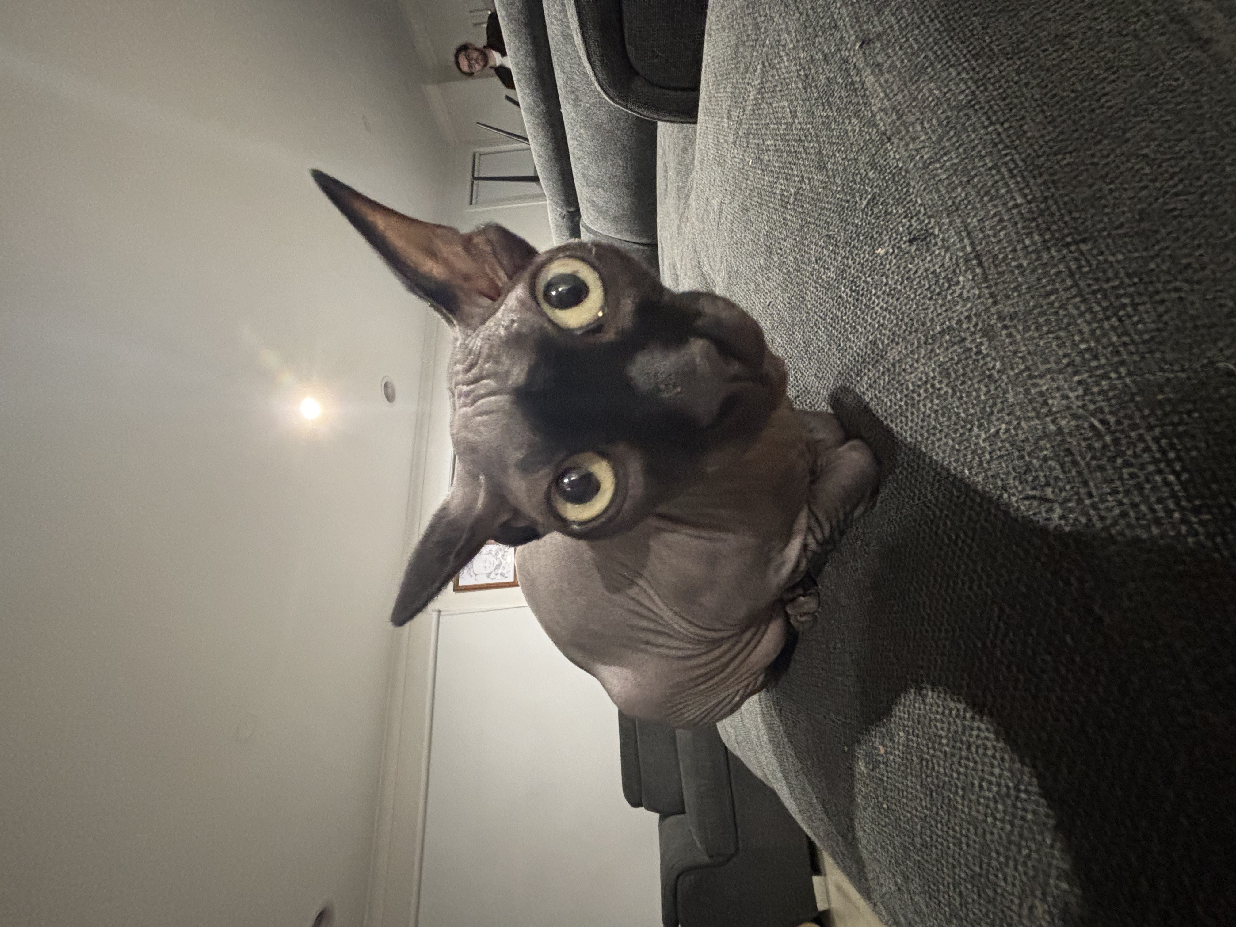 image-9