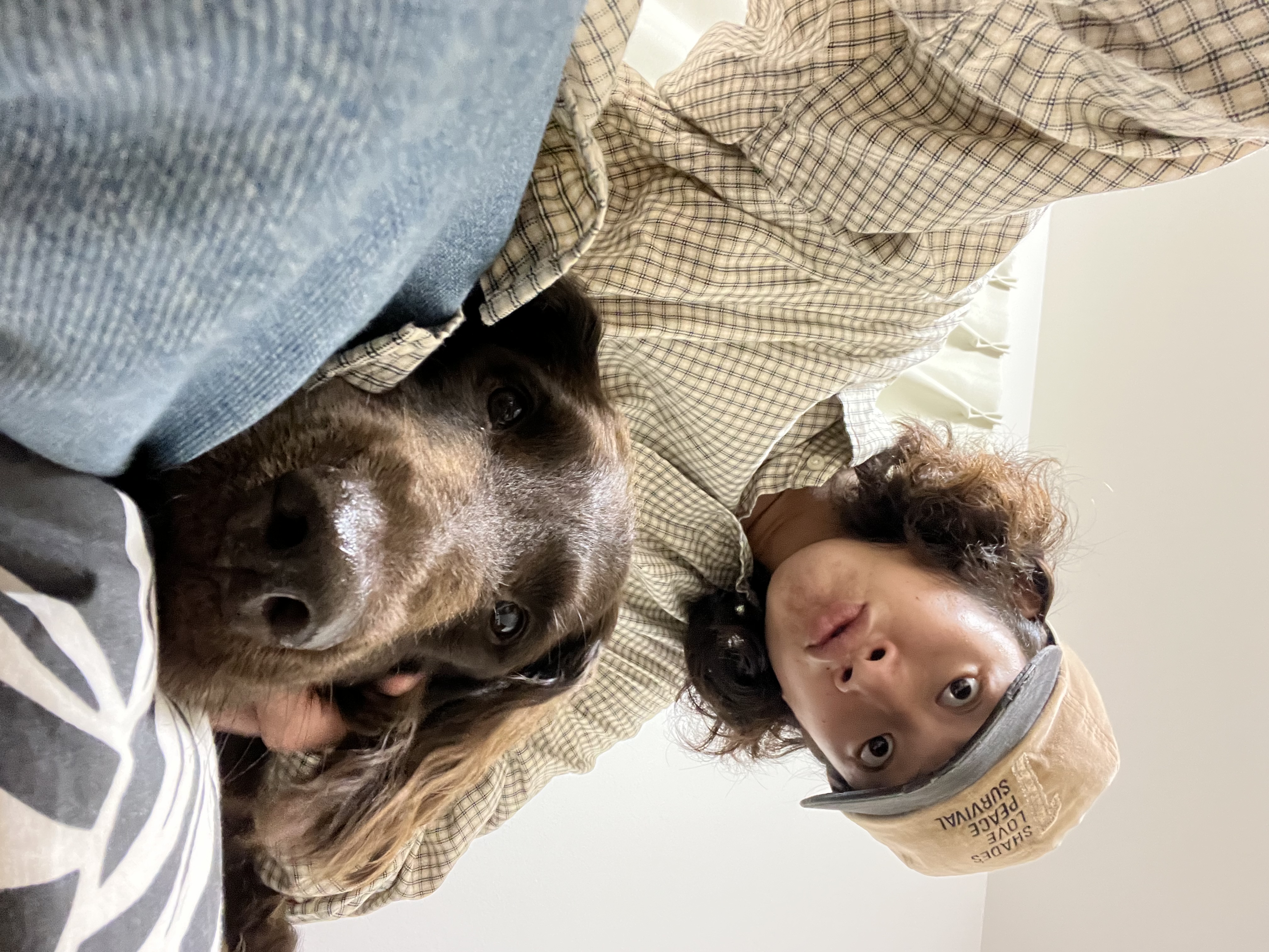 image-6