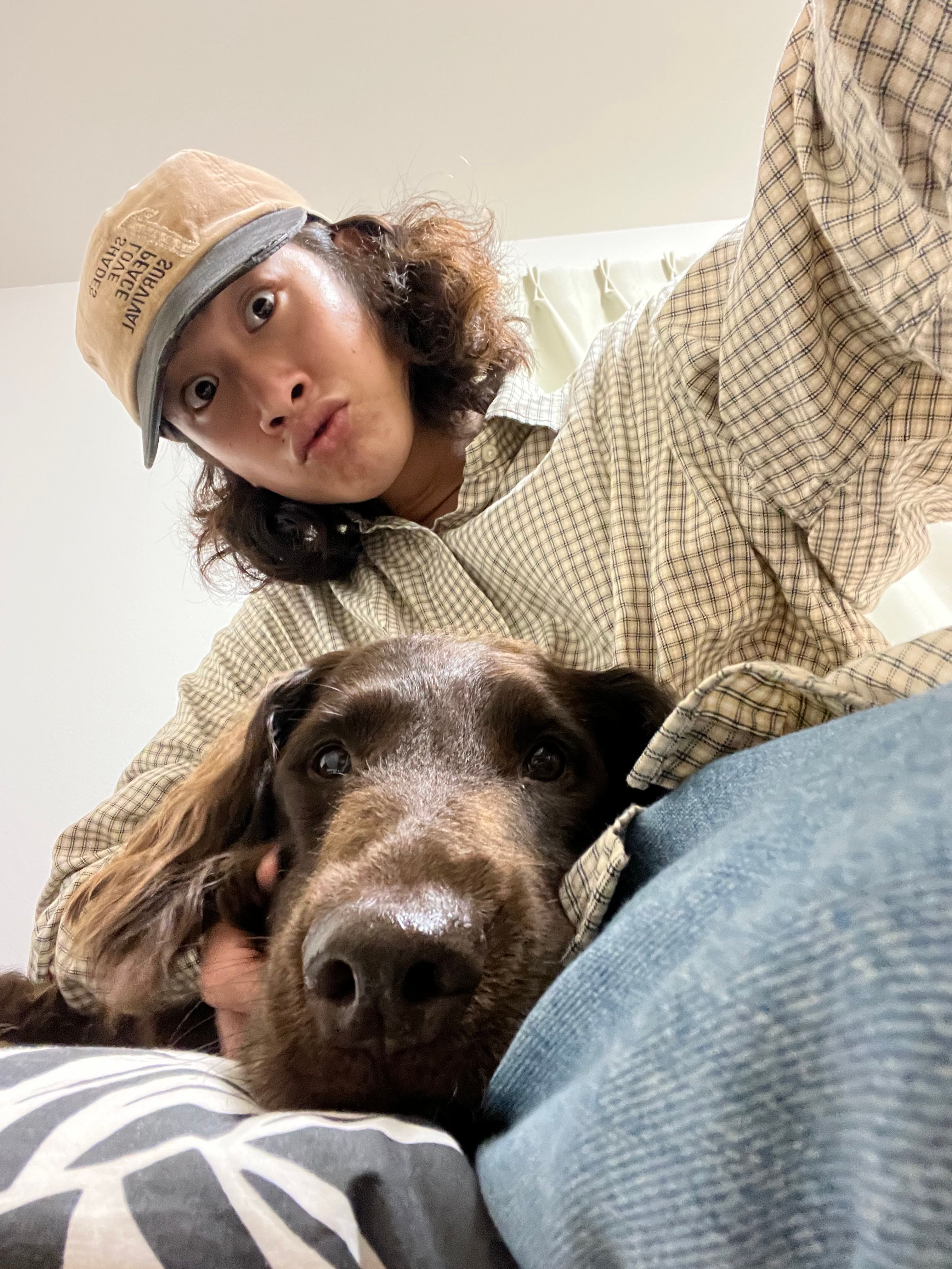 image-6
