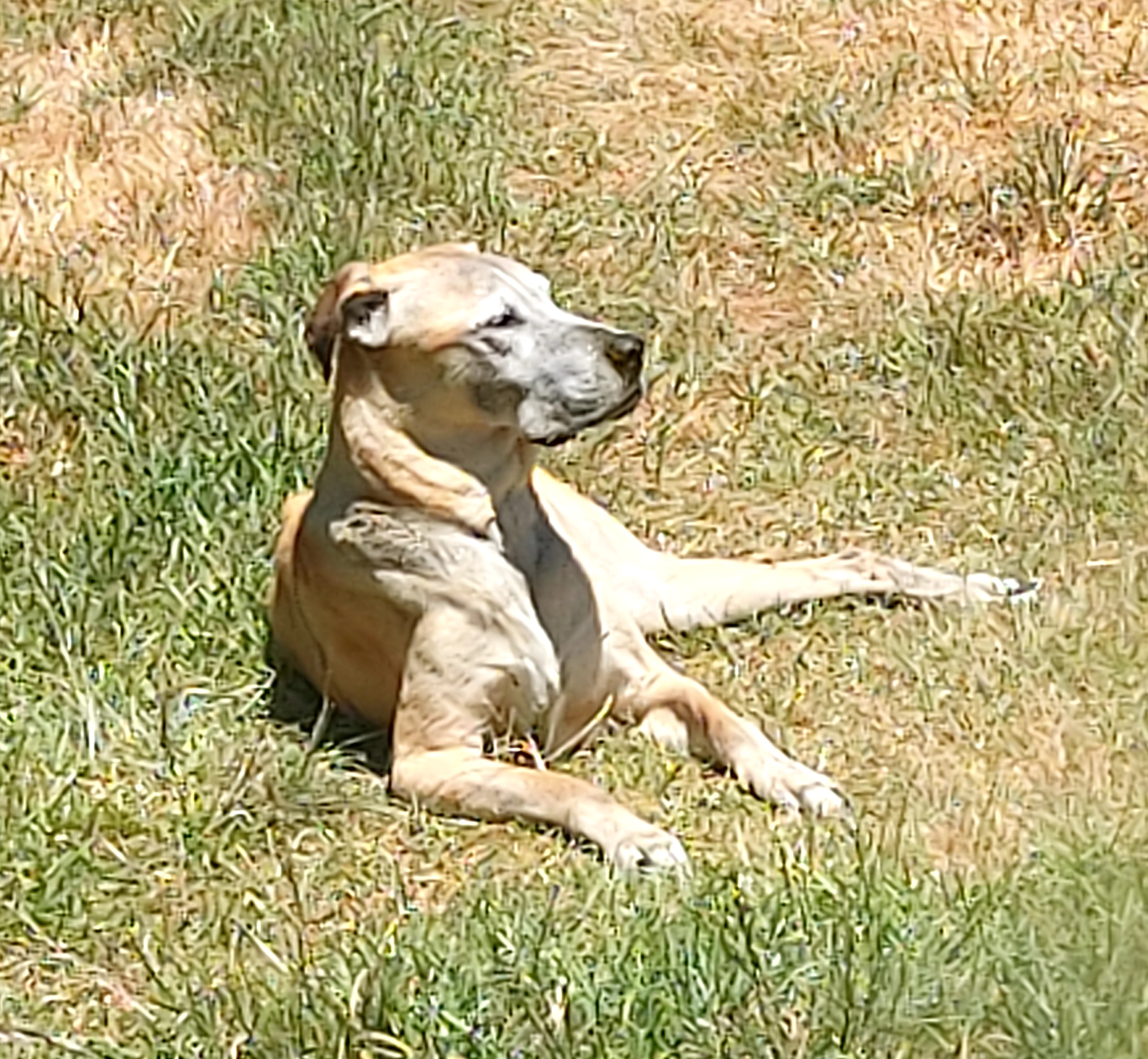 image-8