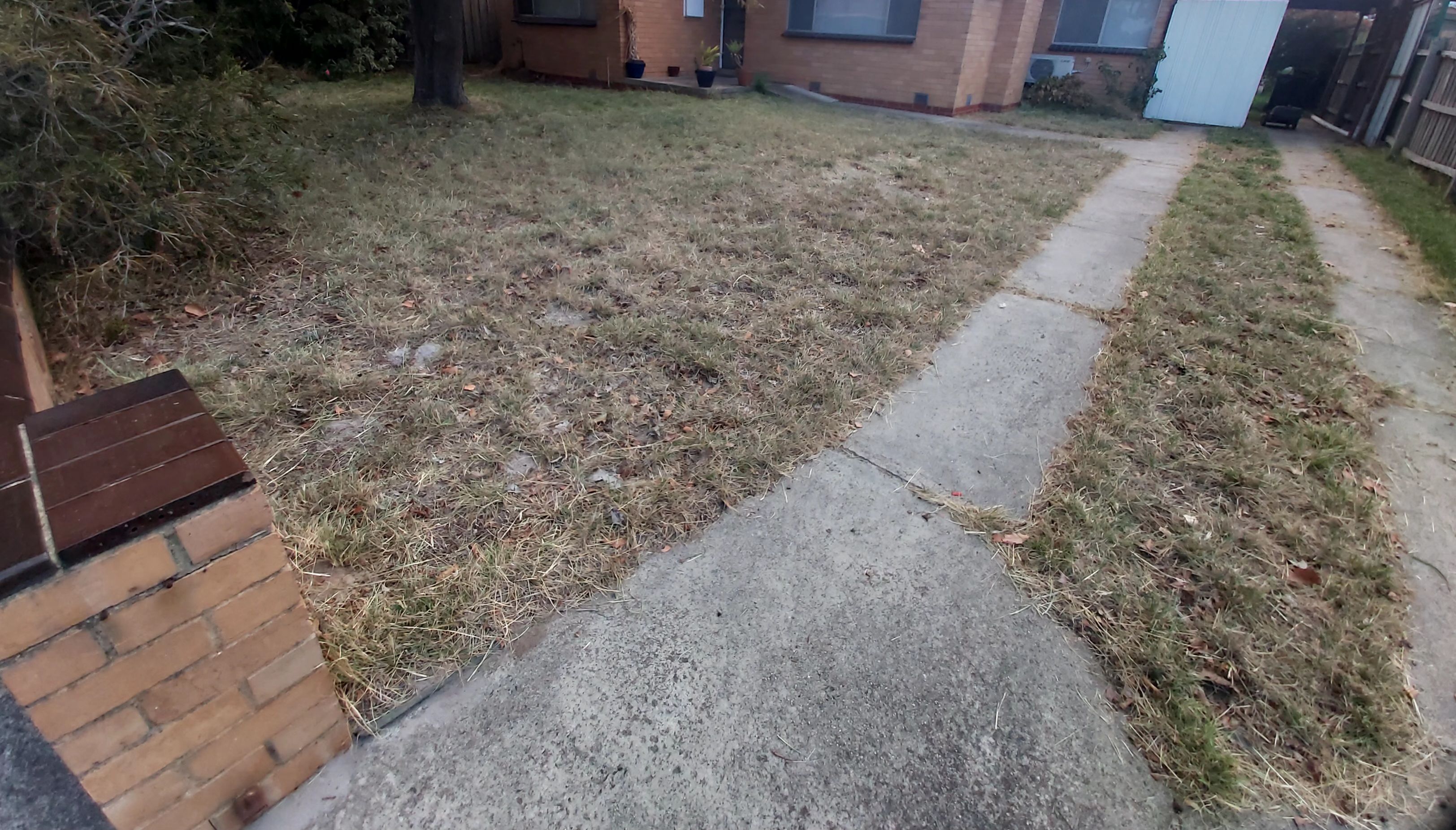 image-14