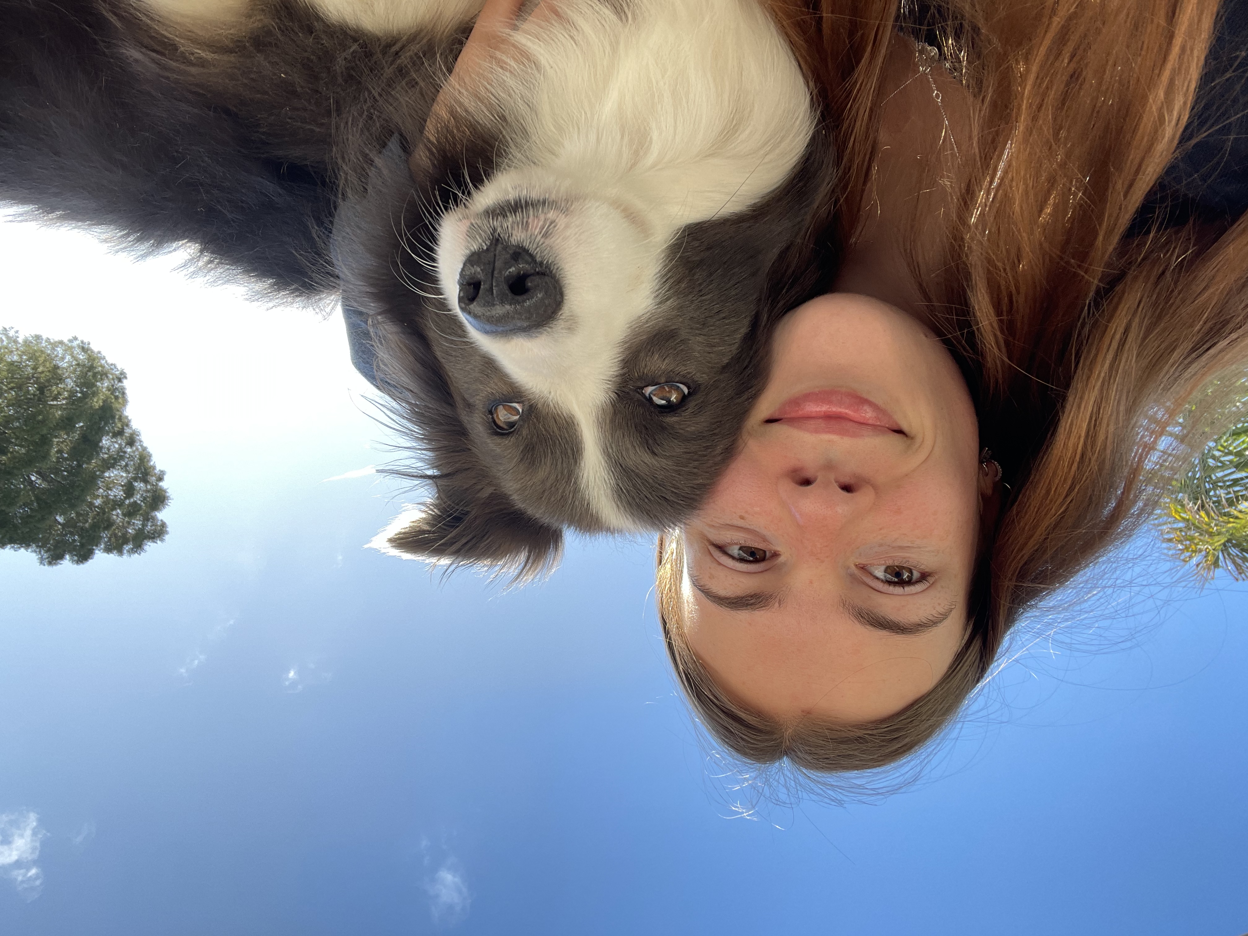 image-0