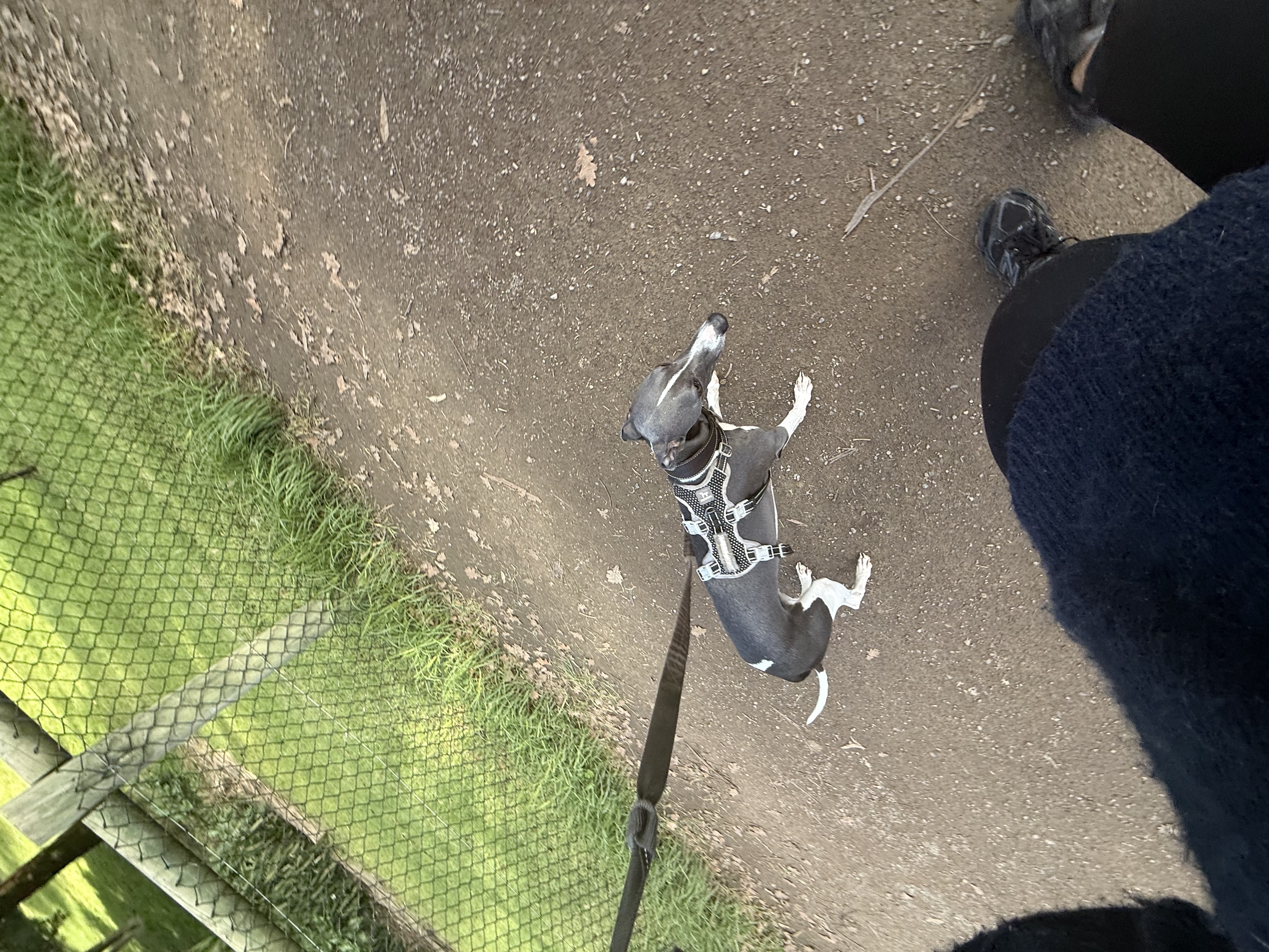 image-7