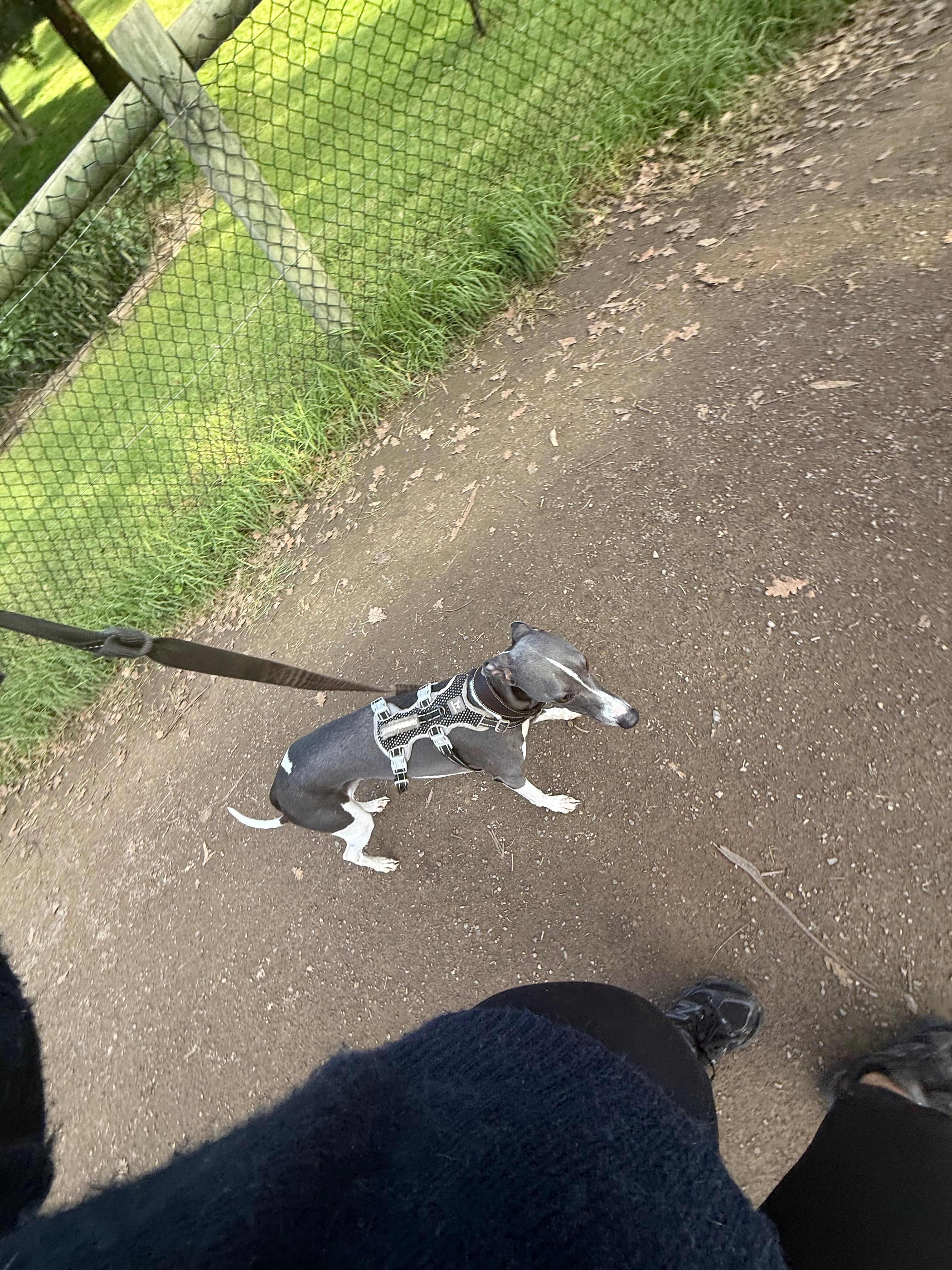 image-7