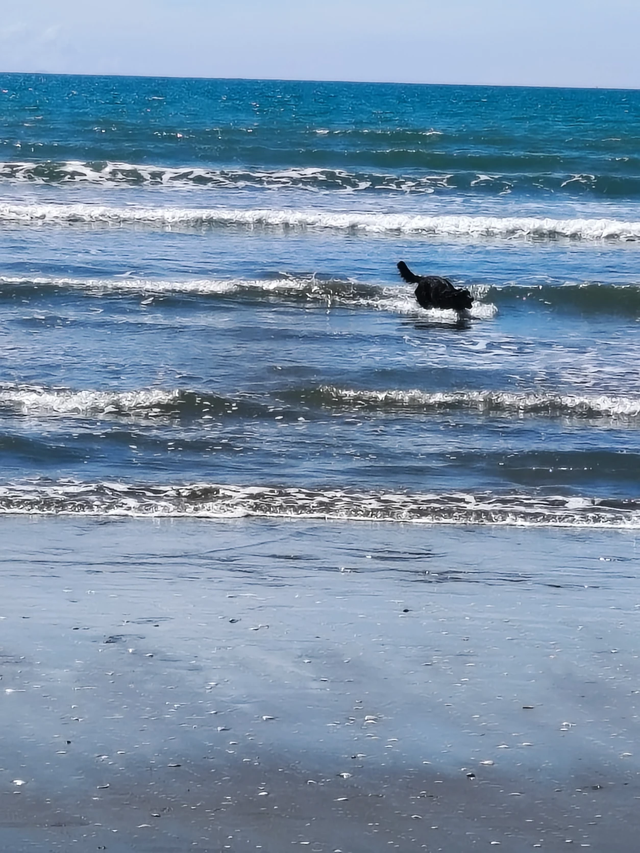 image-8