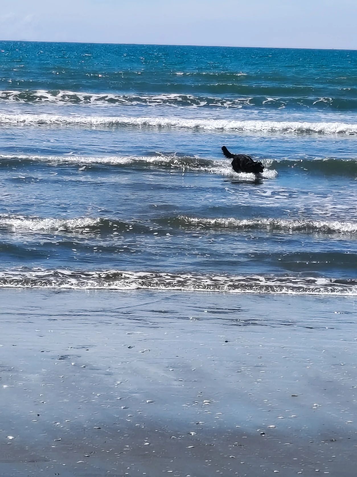 image-8