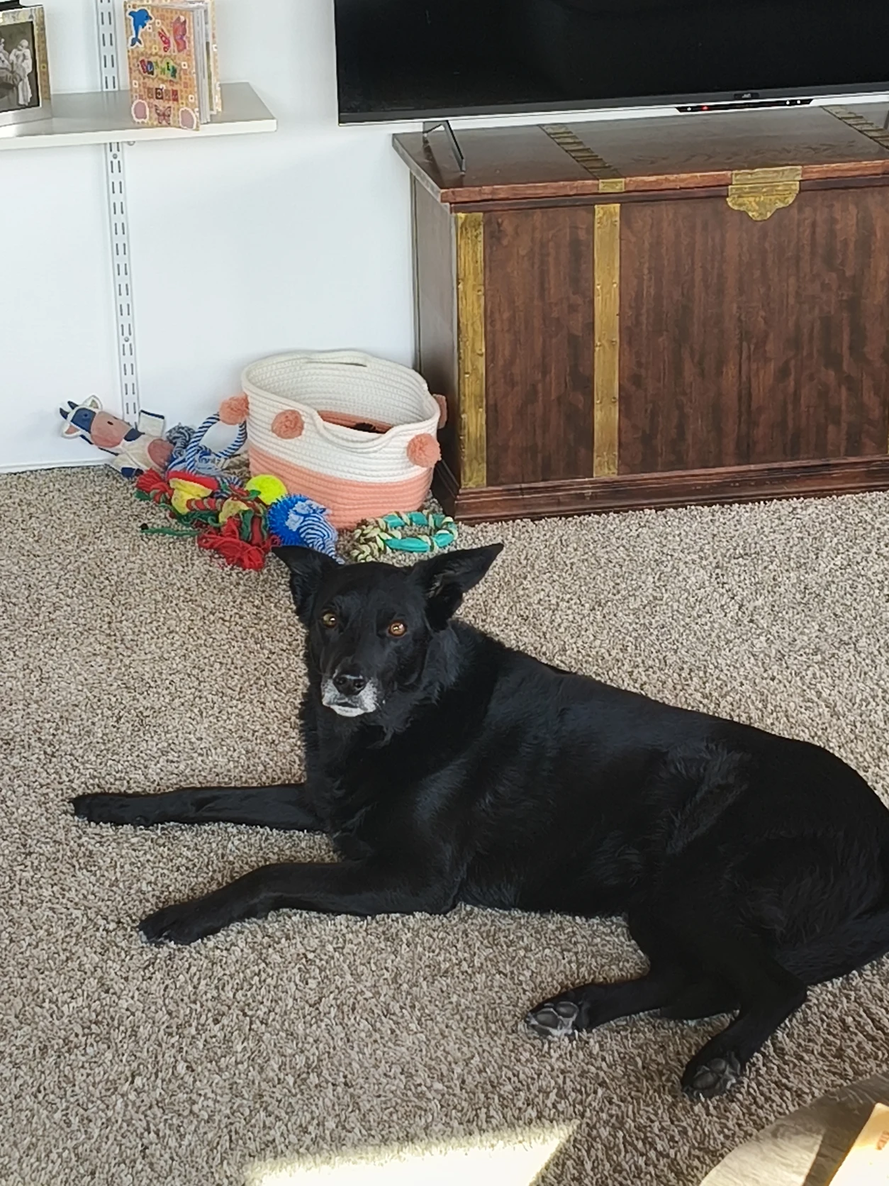 image-1