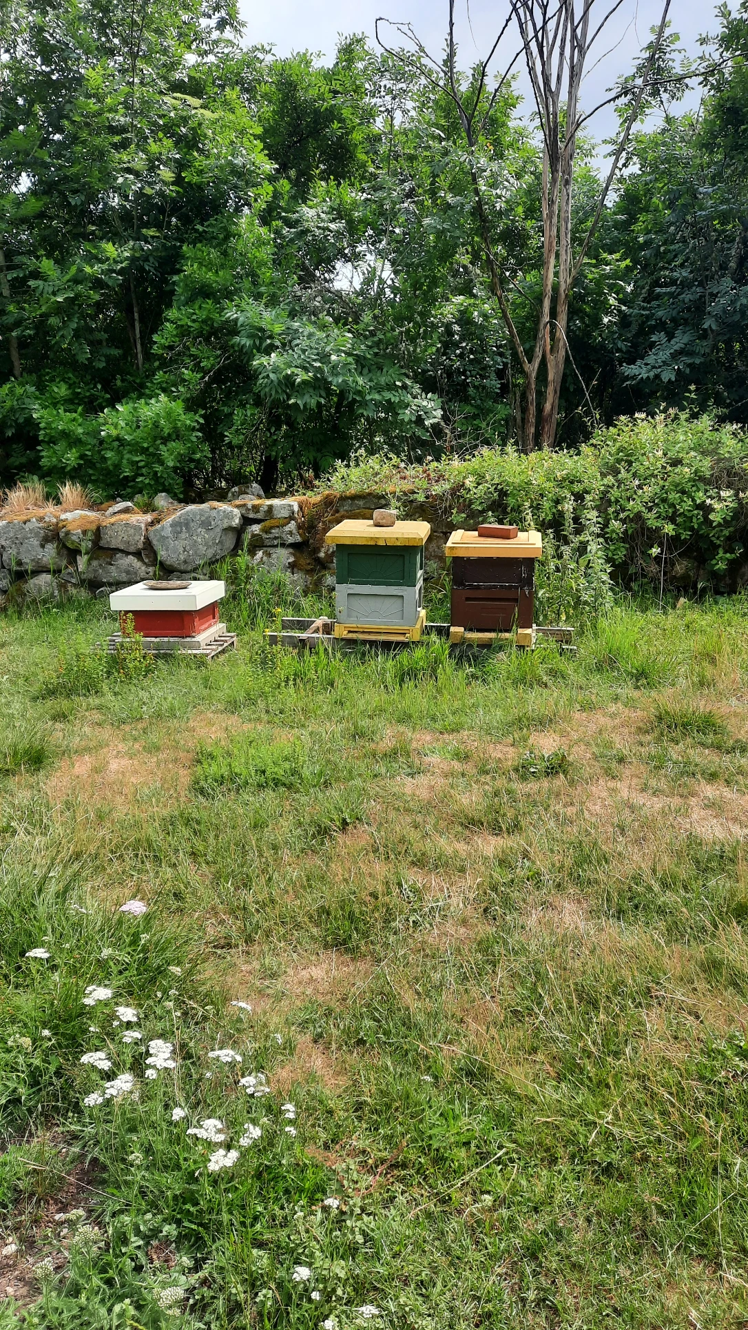 image-13