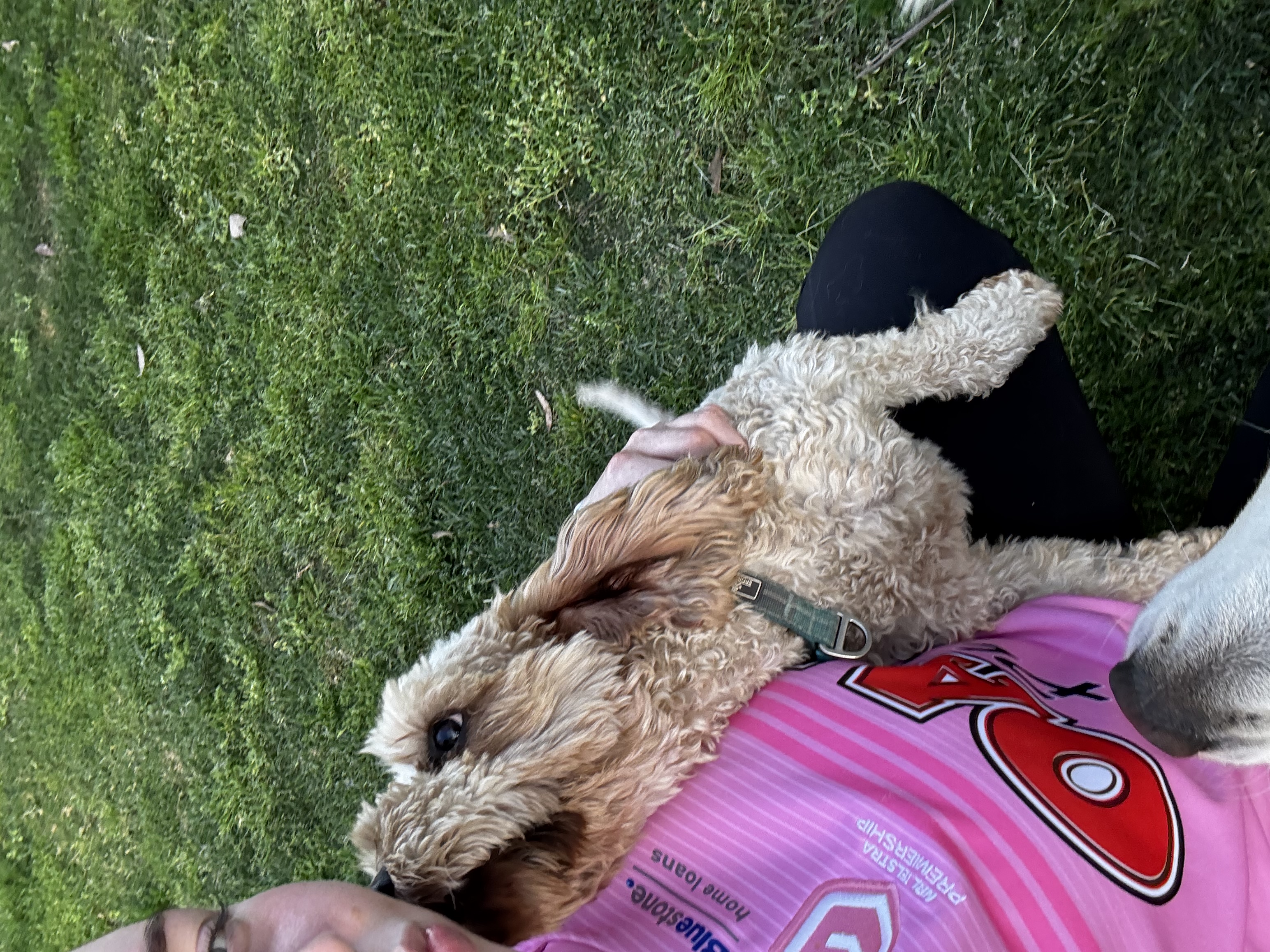 image-6