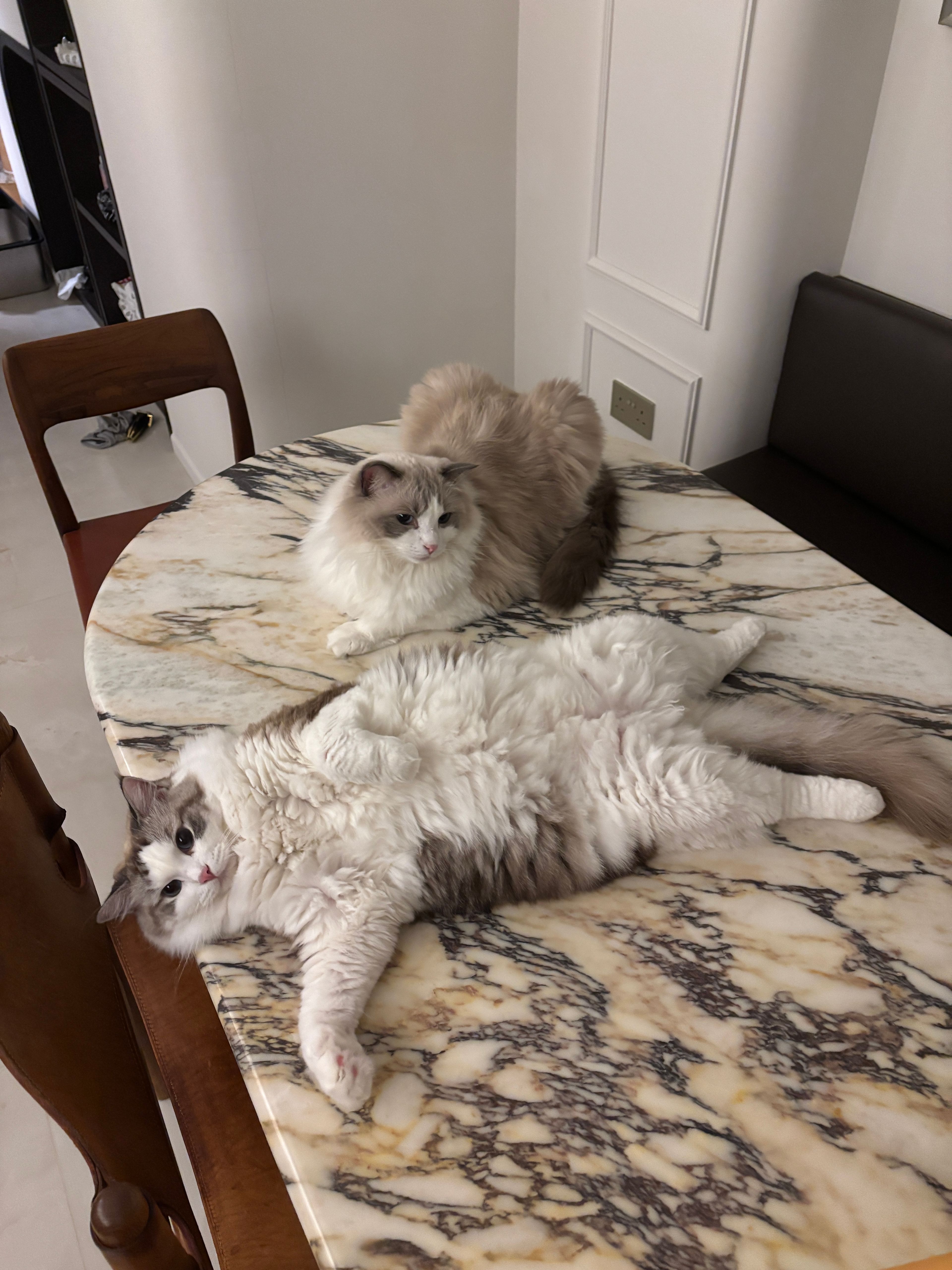 image-18