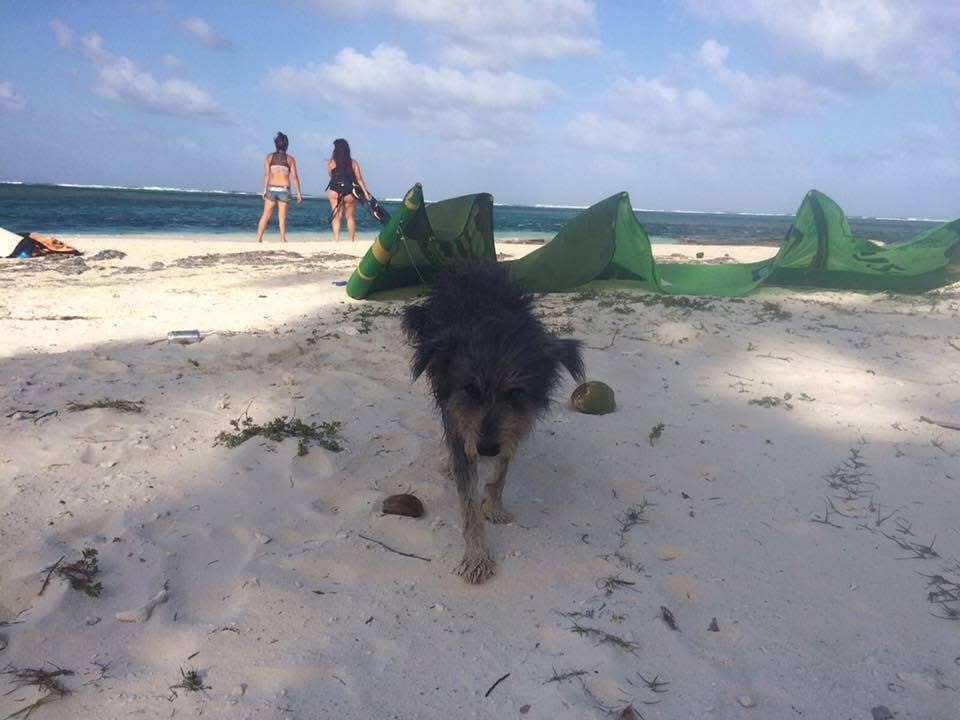 image-6