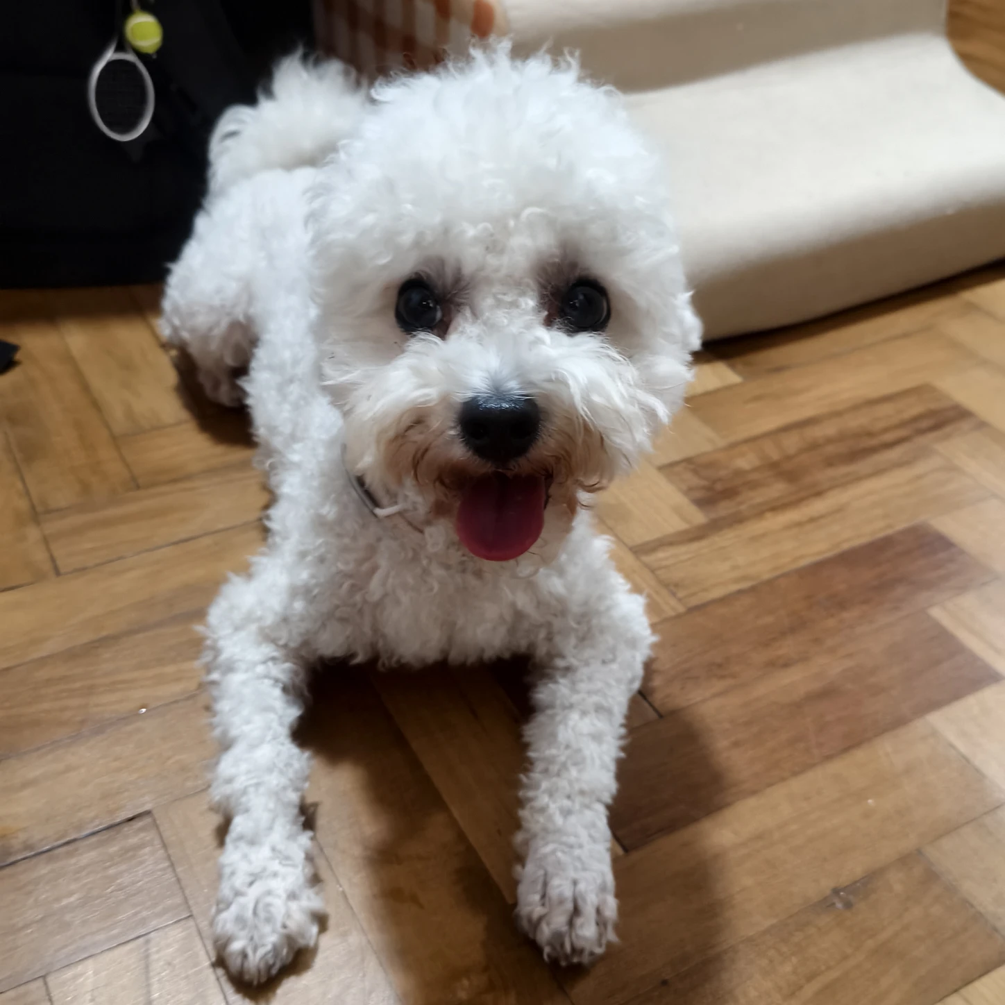 image-10