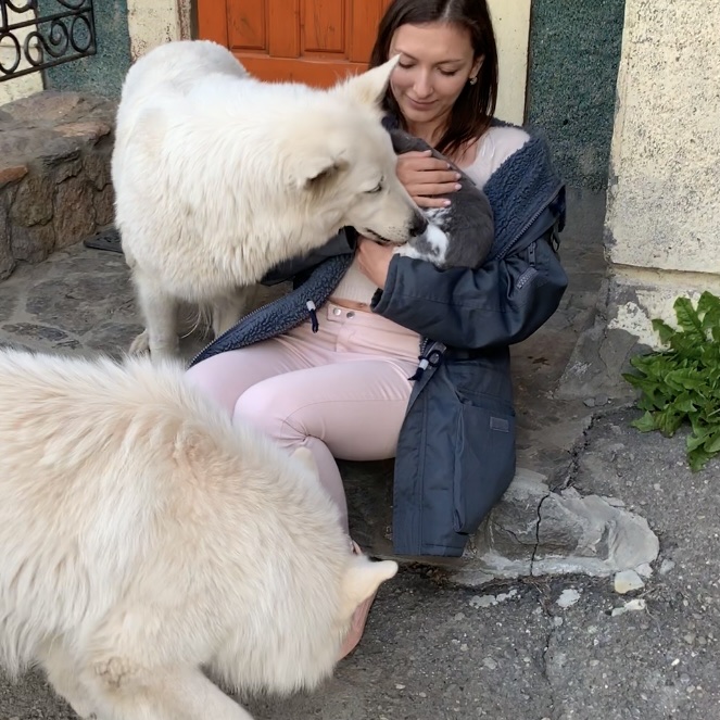 image-6