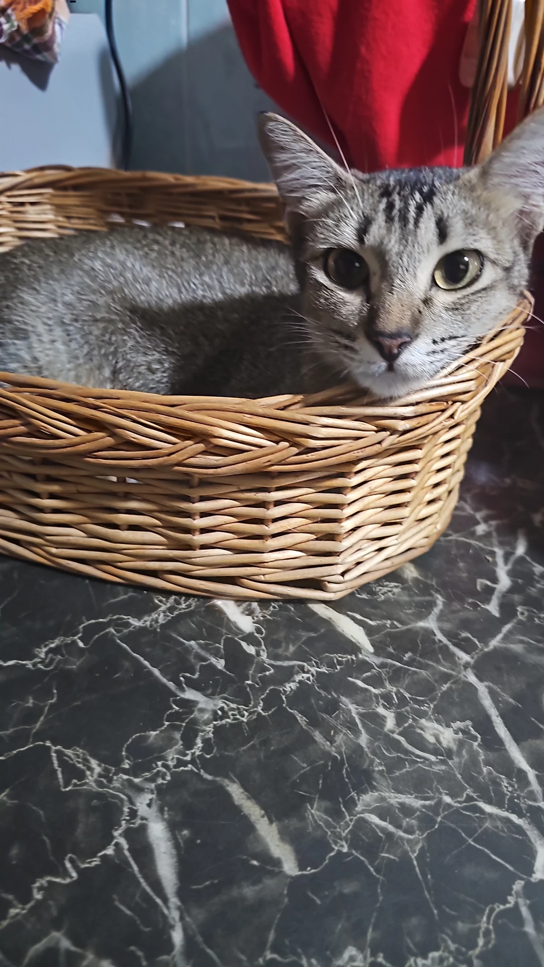 image-15