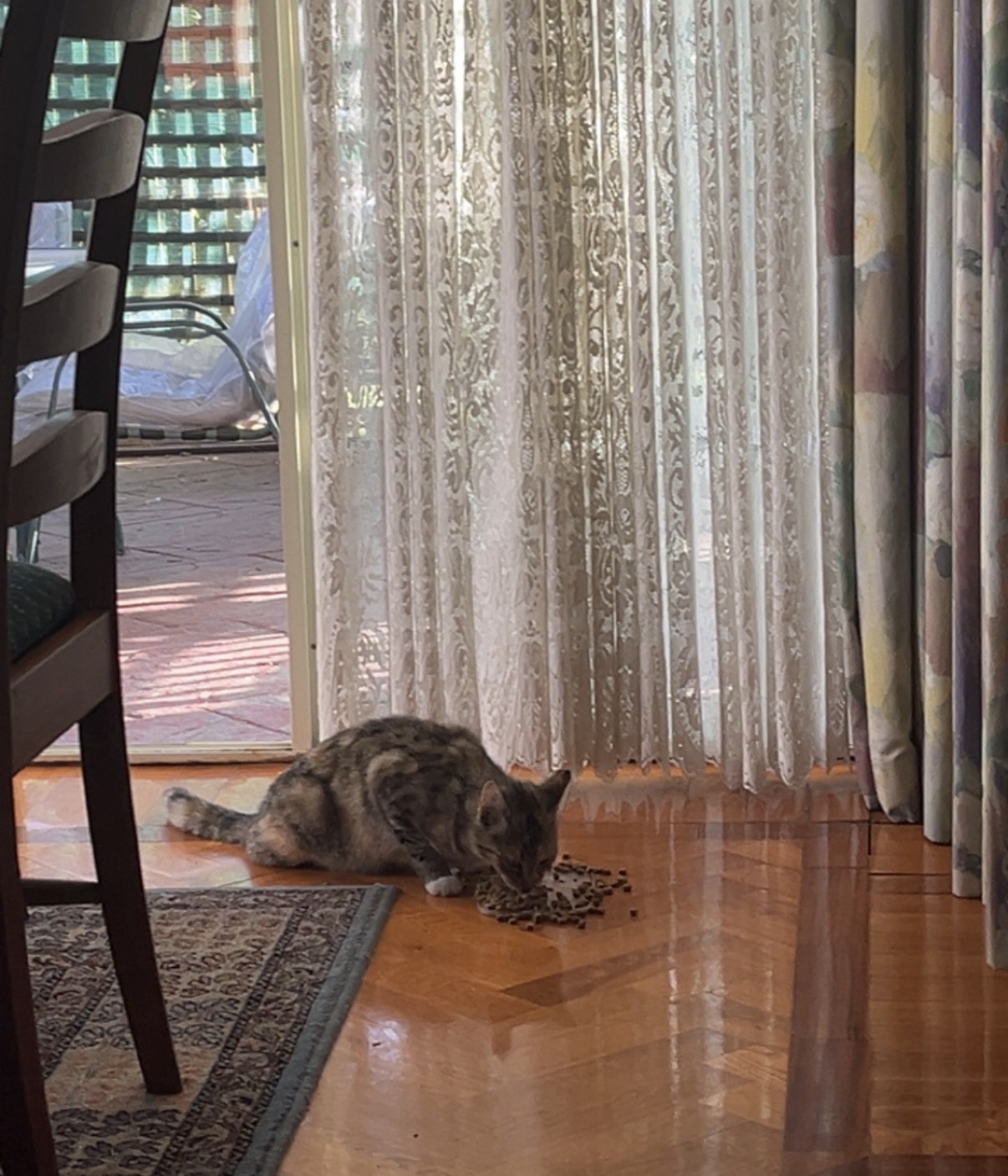 image-7