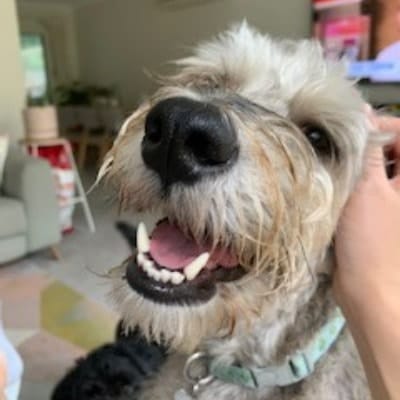 Archie