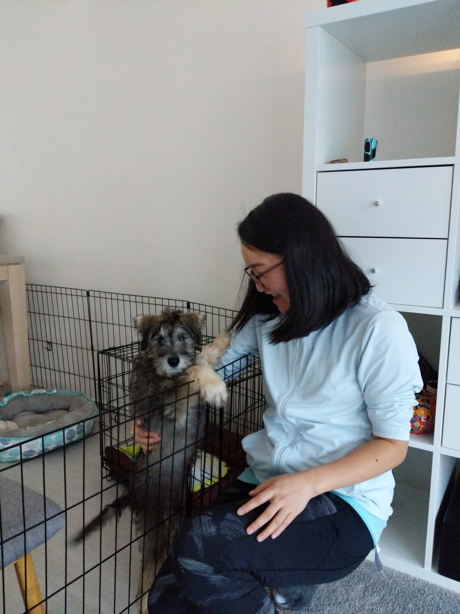 image-11