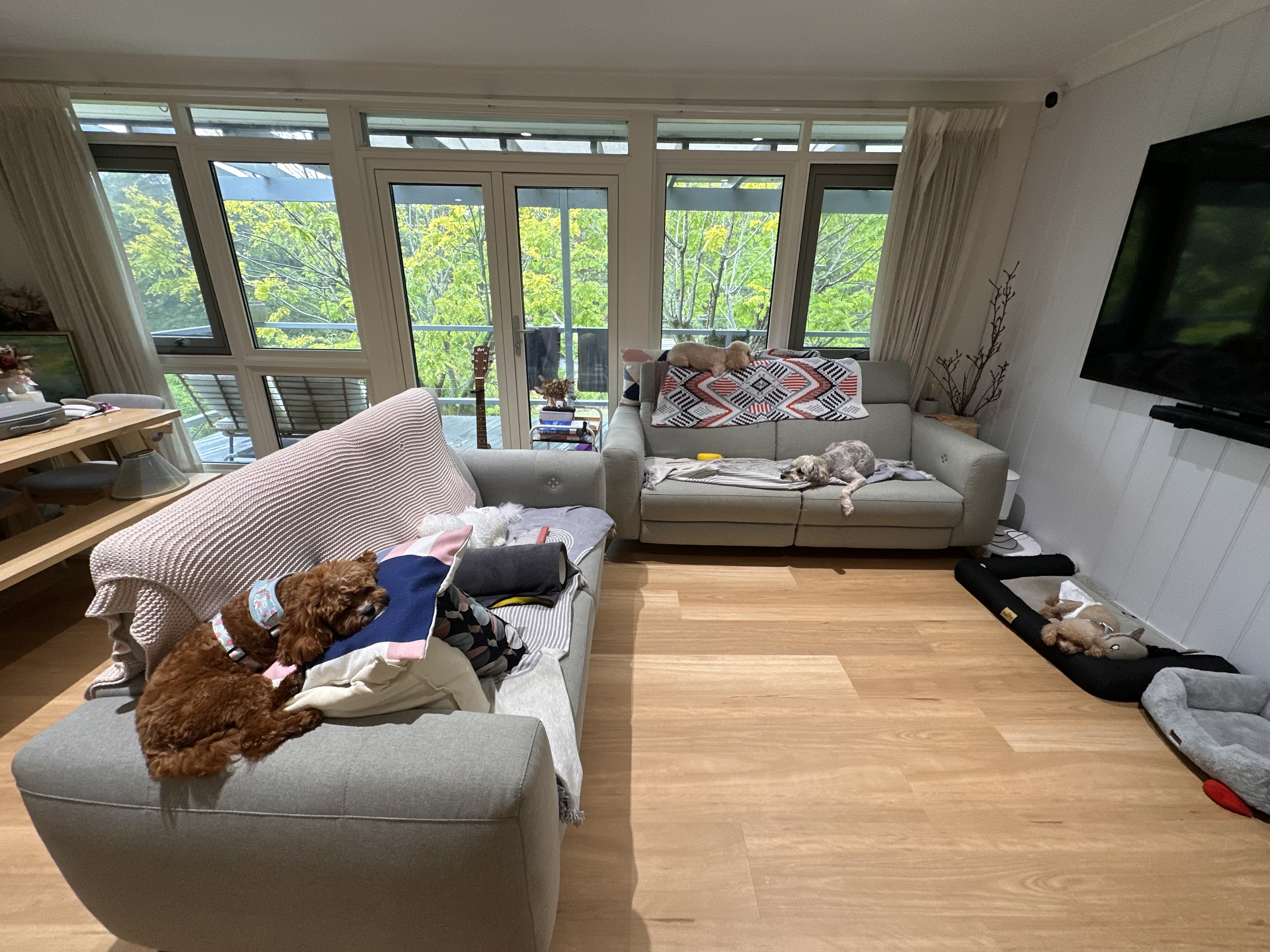 image-19