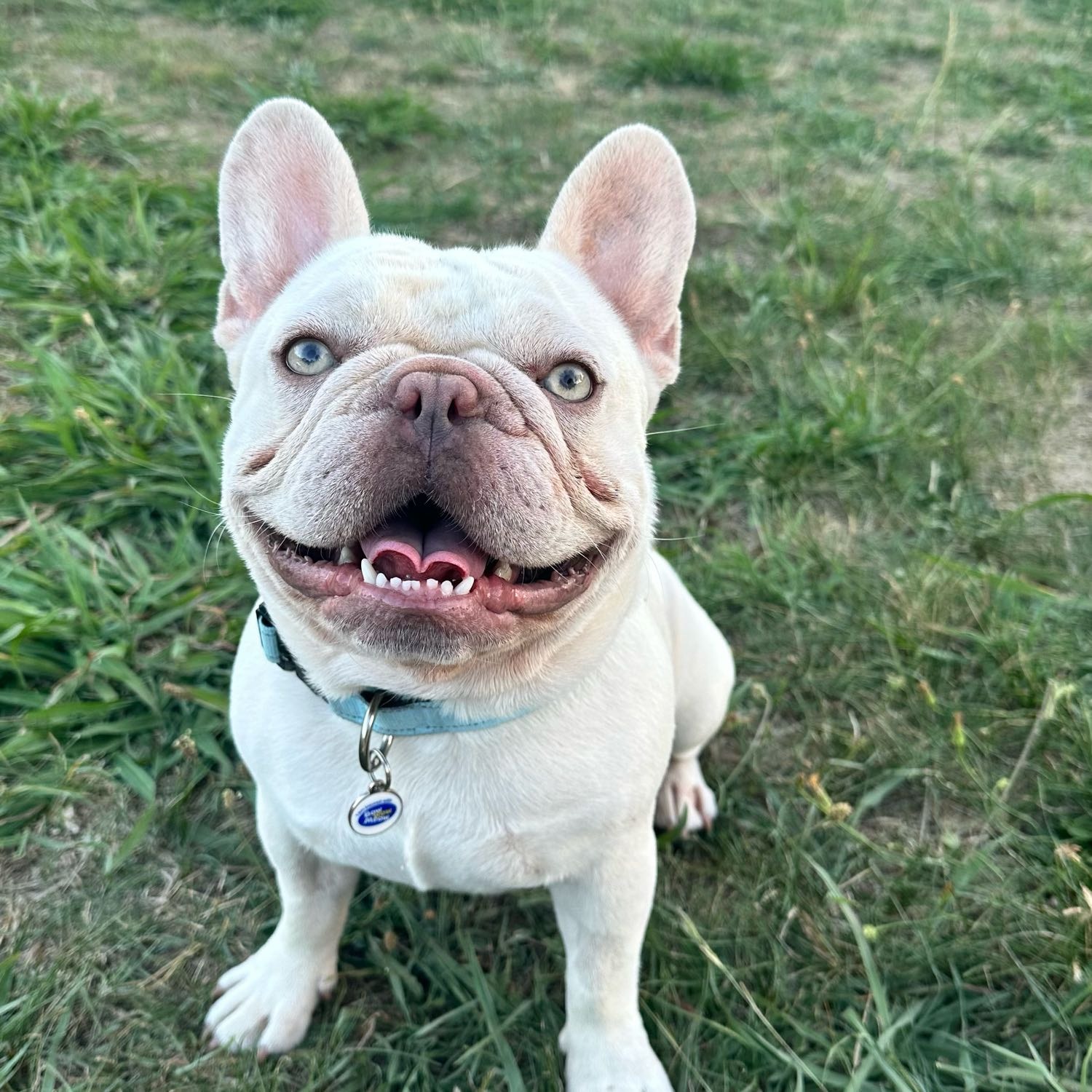 Max 