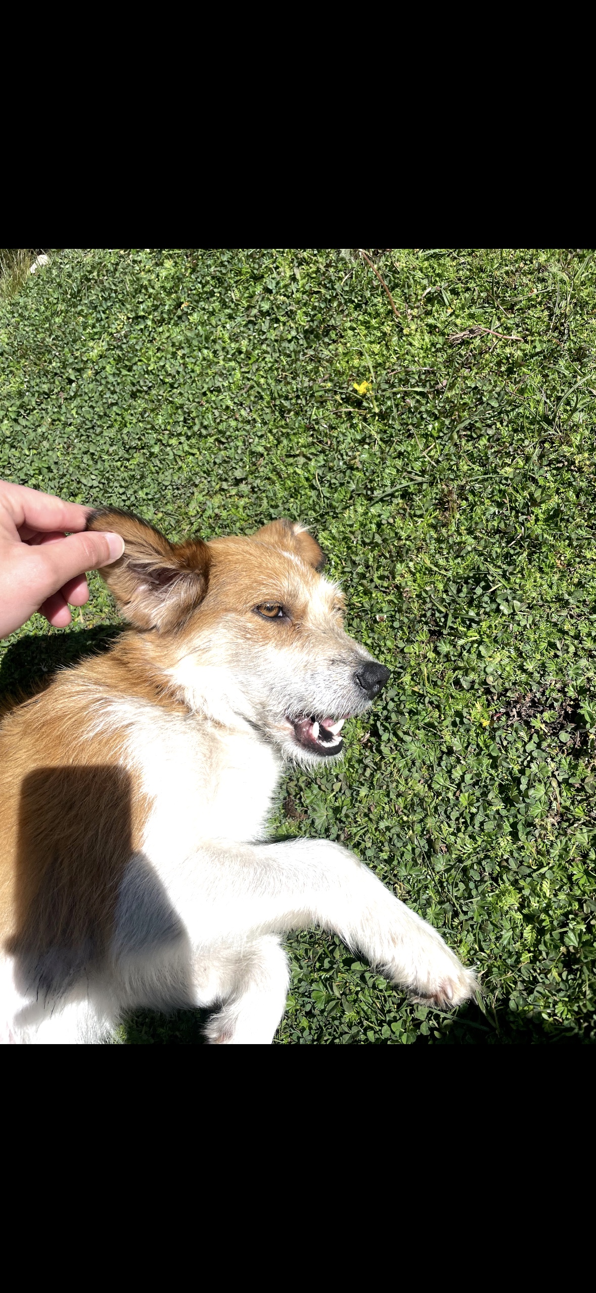 image-7