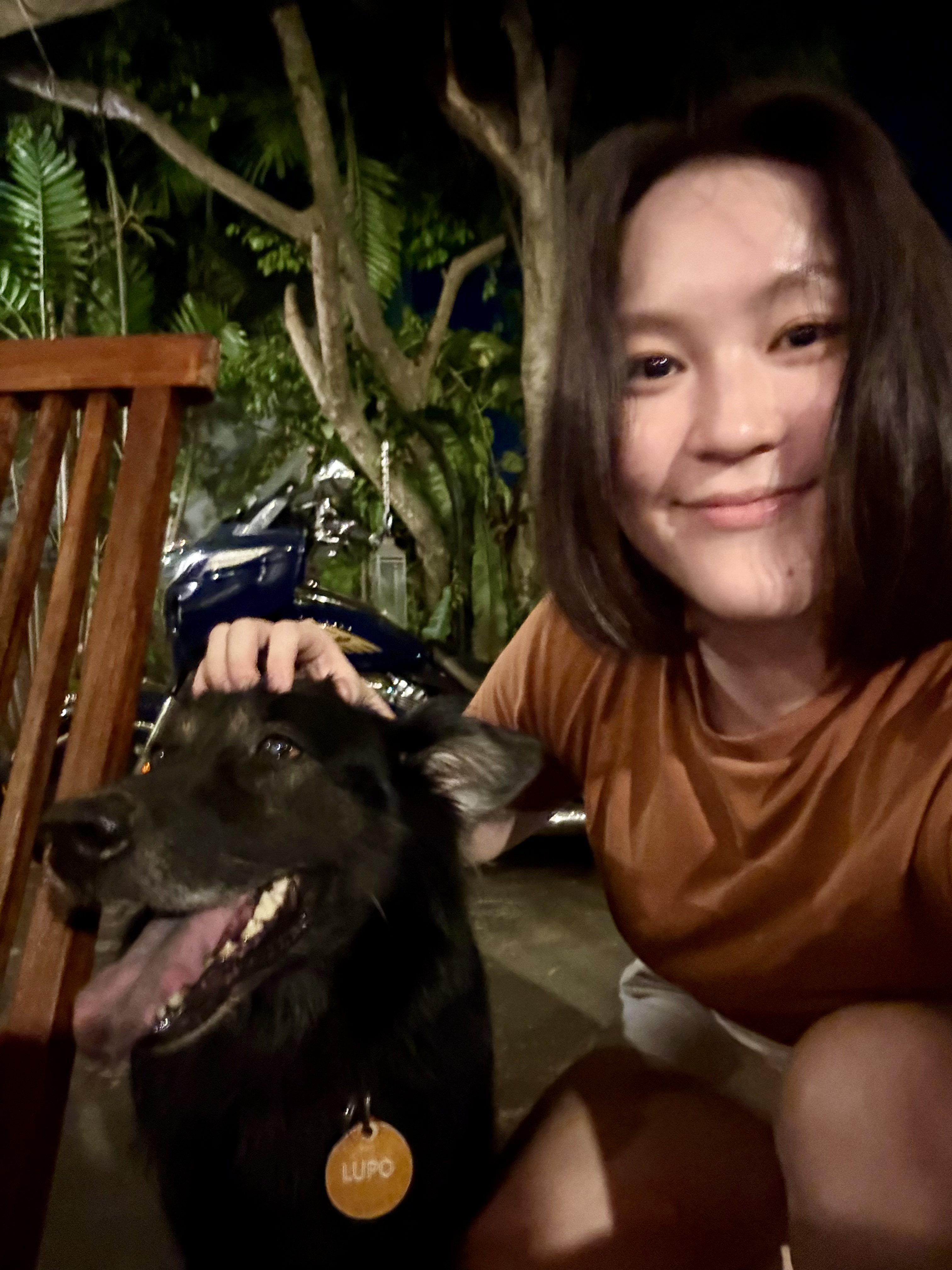 image-7