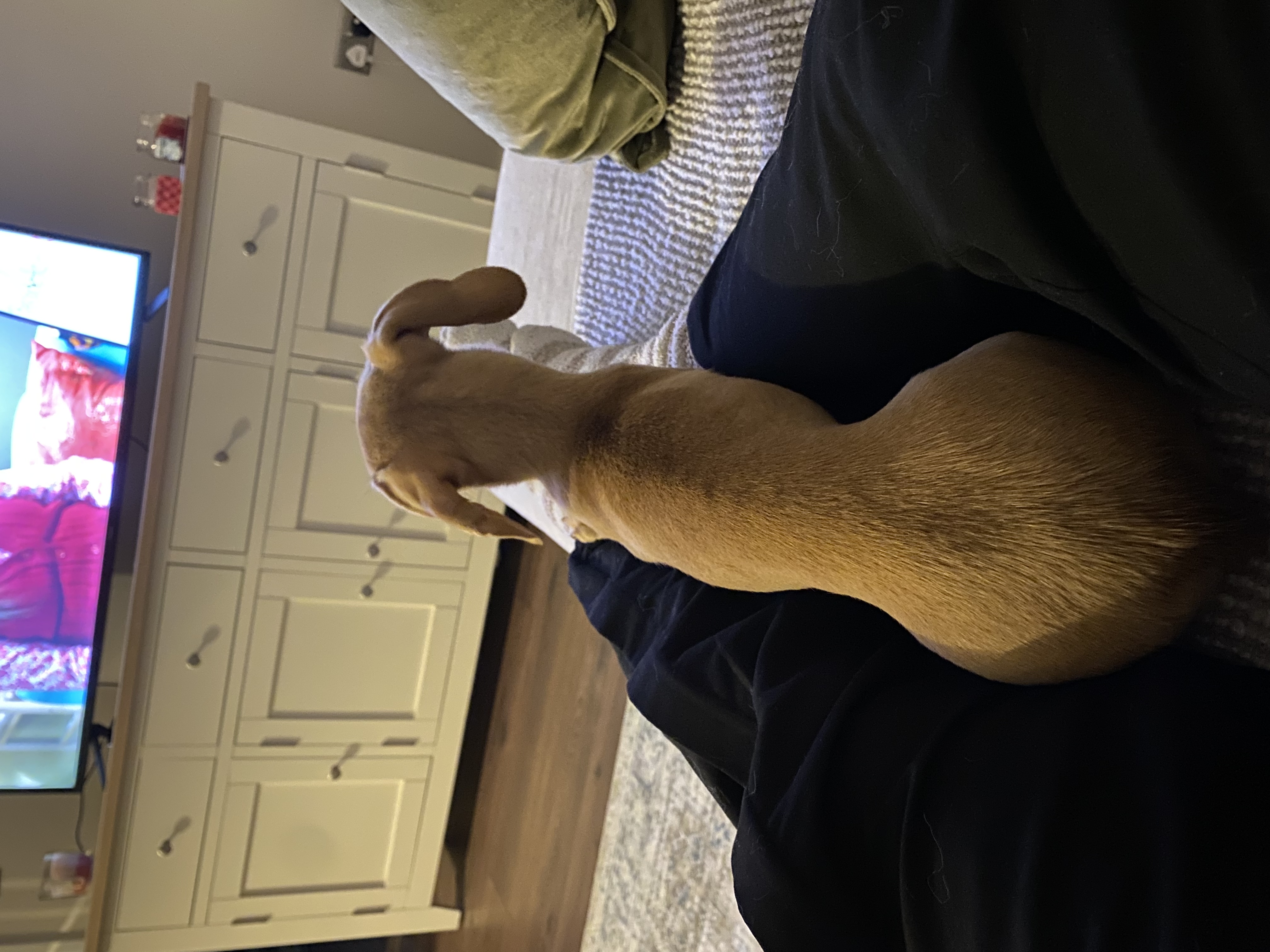 image-7