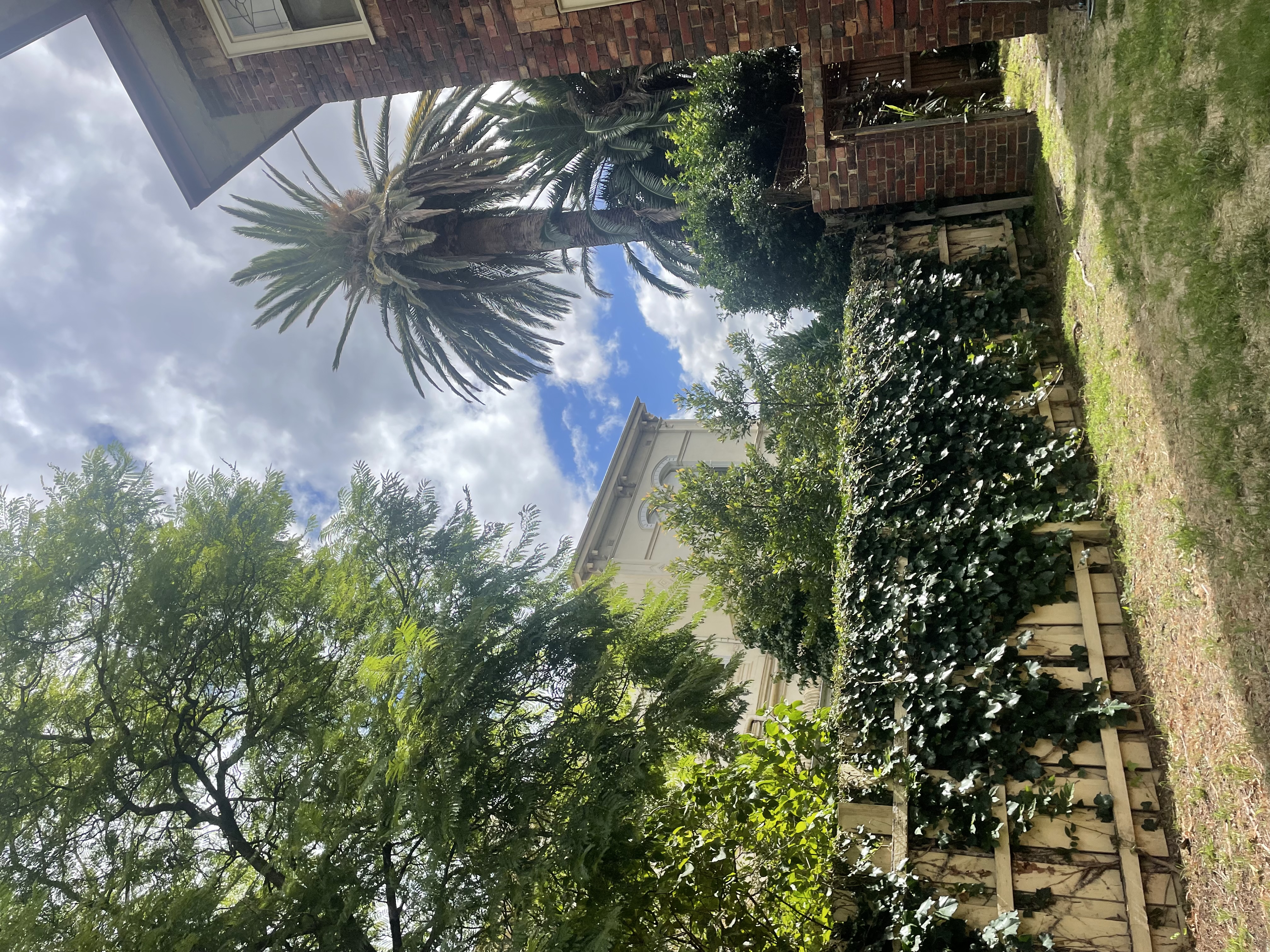 image-17