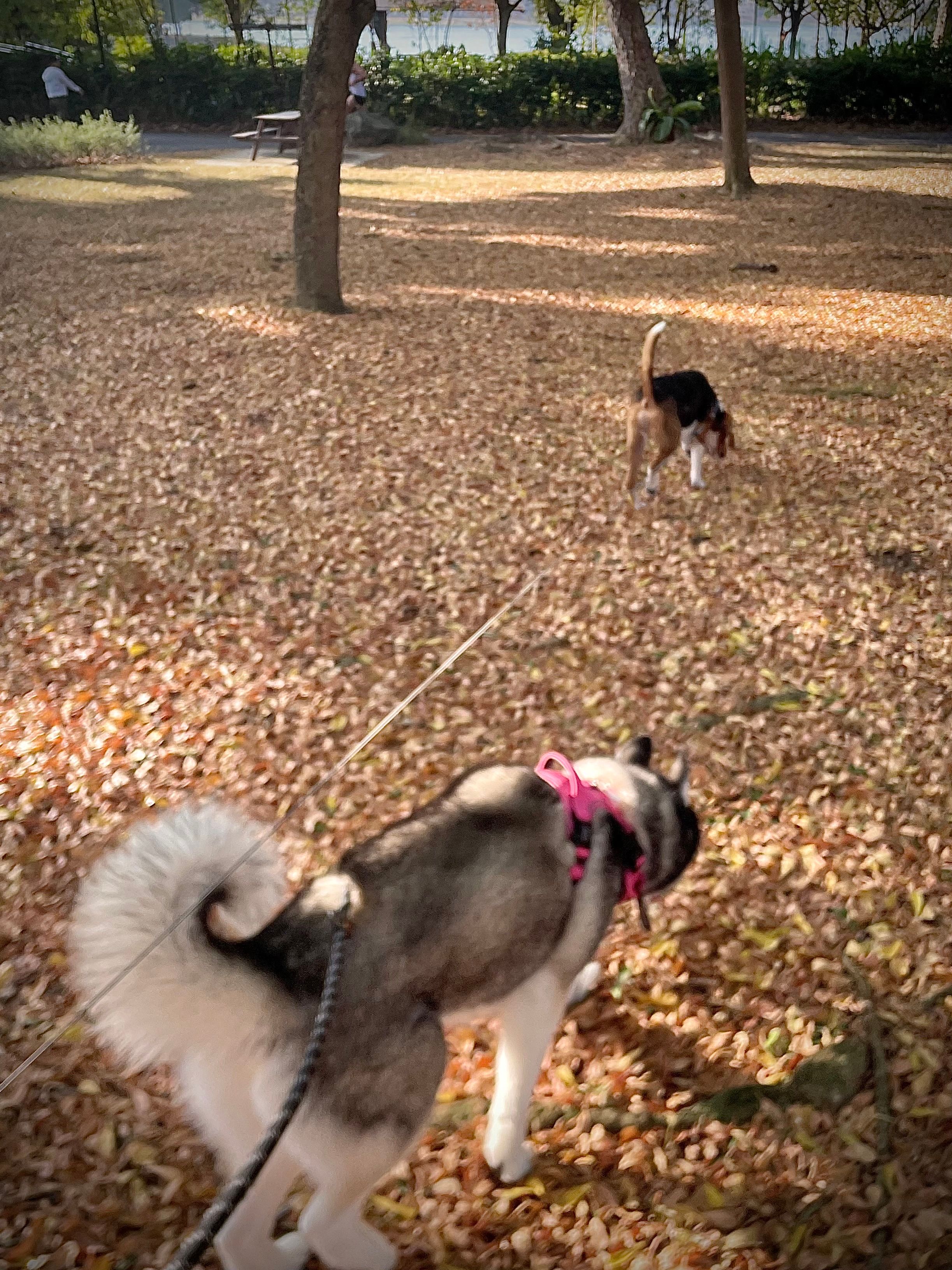 image-37