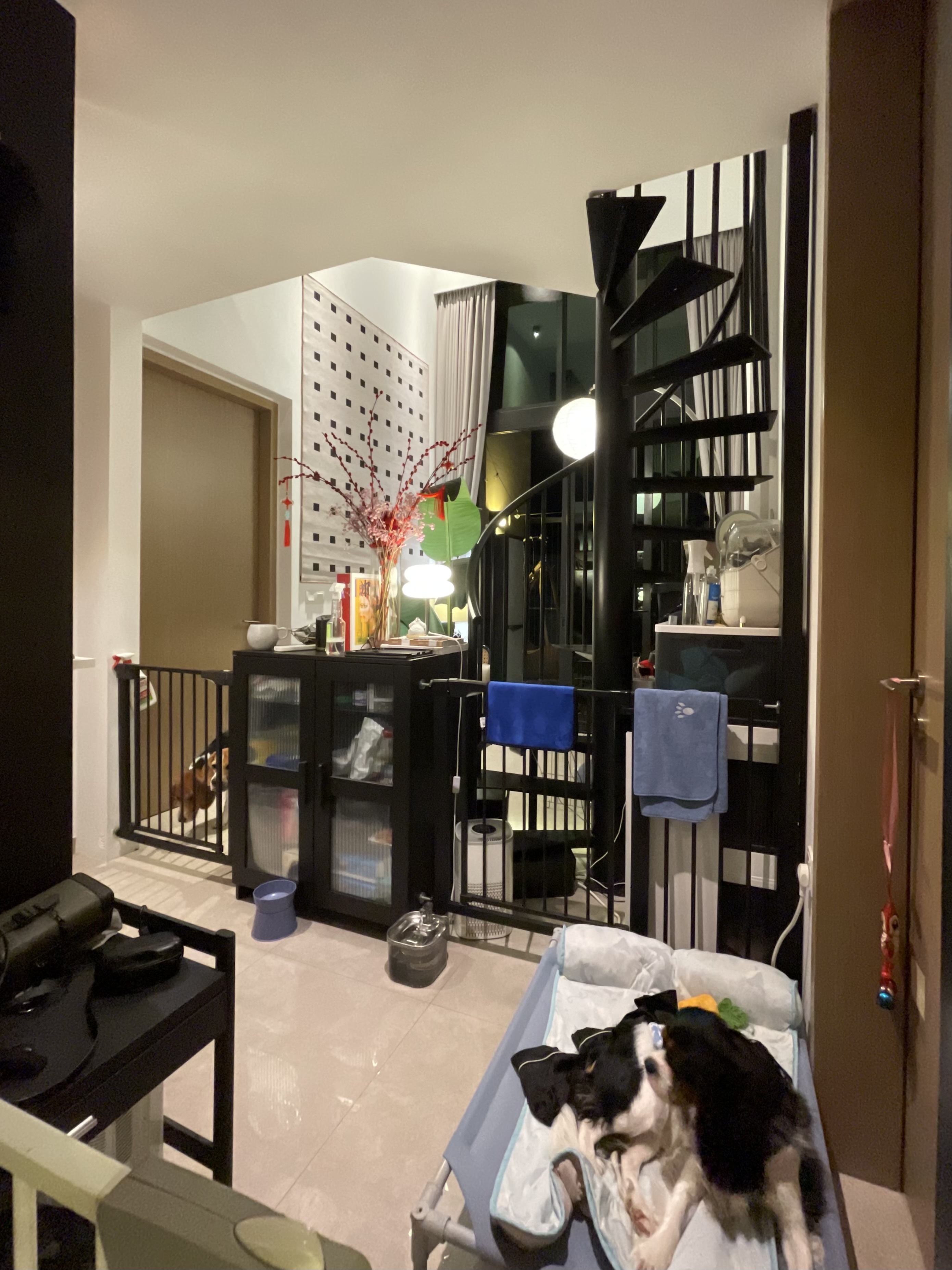 image-43