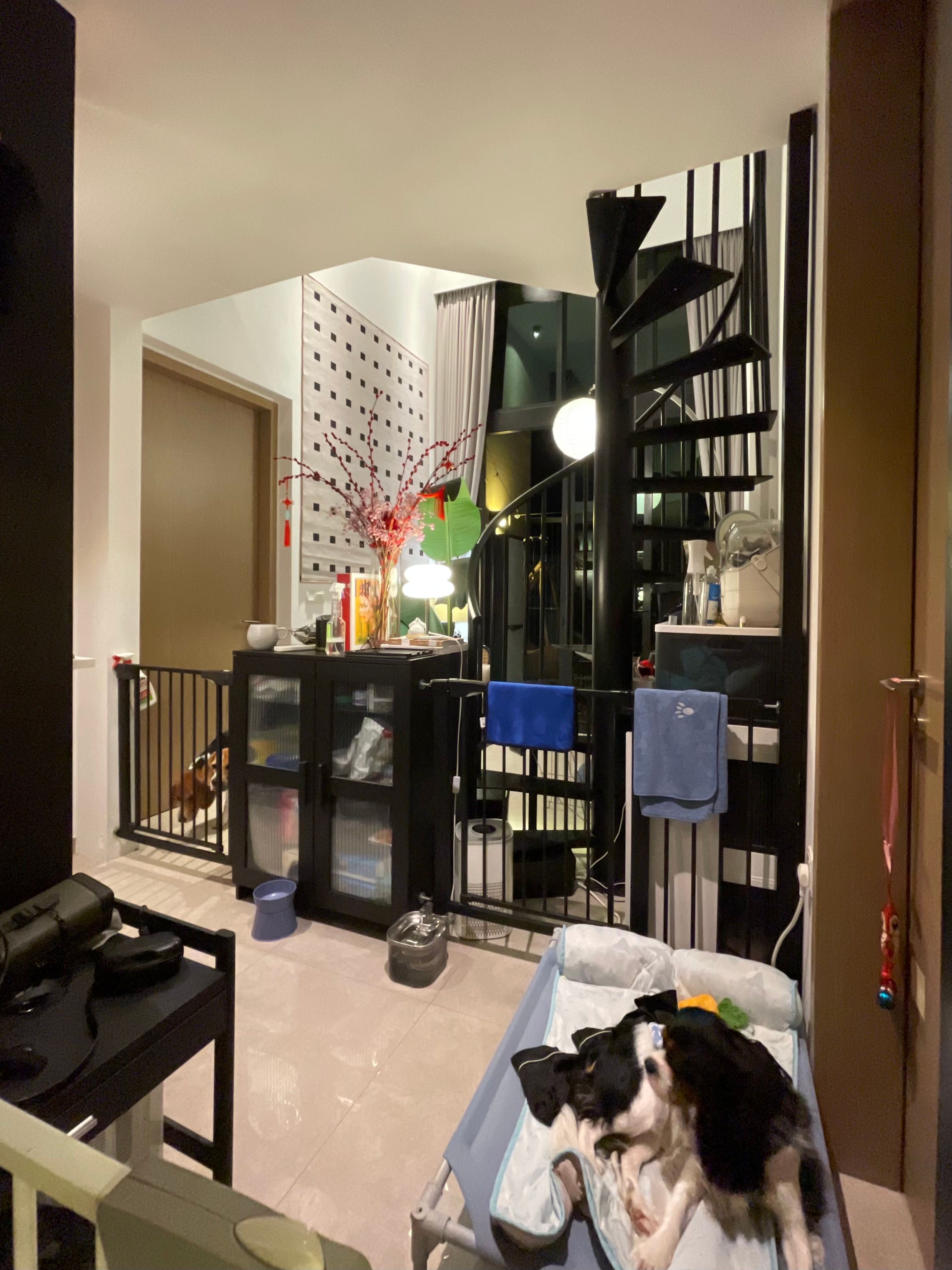 image-43